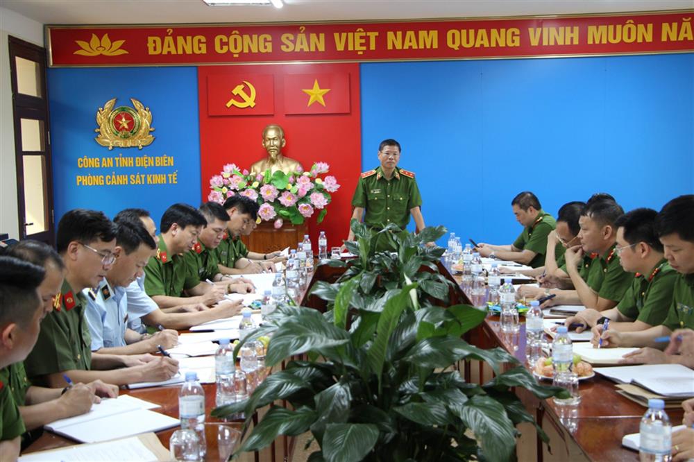 Trung tướng Trần Minh Lệ, Cục trưởng Cục Cảnh sát PCTP về môi trường Bộ Công an phát biểu kết luận buổi làm việc.