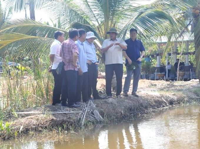 Thứ trưởng Bộ NN-PTNT Trần Thanh Nam (thứ 2 từ phải sang) khảo sát các HTX nông nghiệp trên địa bàn tỉnh Kiên Giang được chọn tham gia Đề án 1 triệu ha lúa chất lượng cao. Ảnh: Trung Chánh.