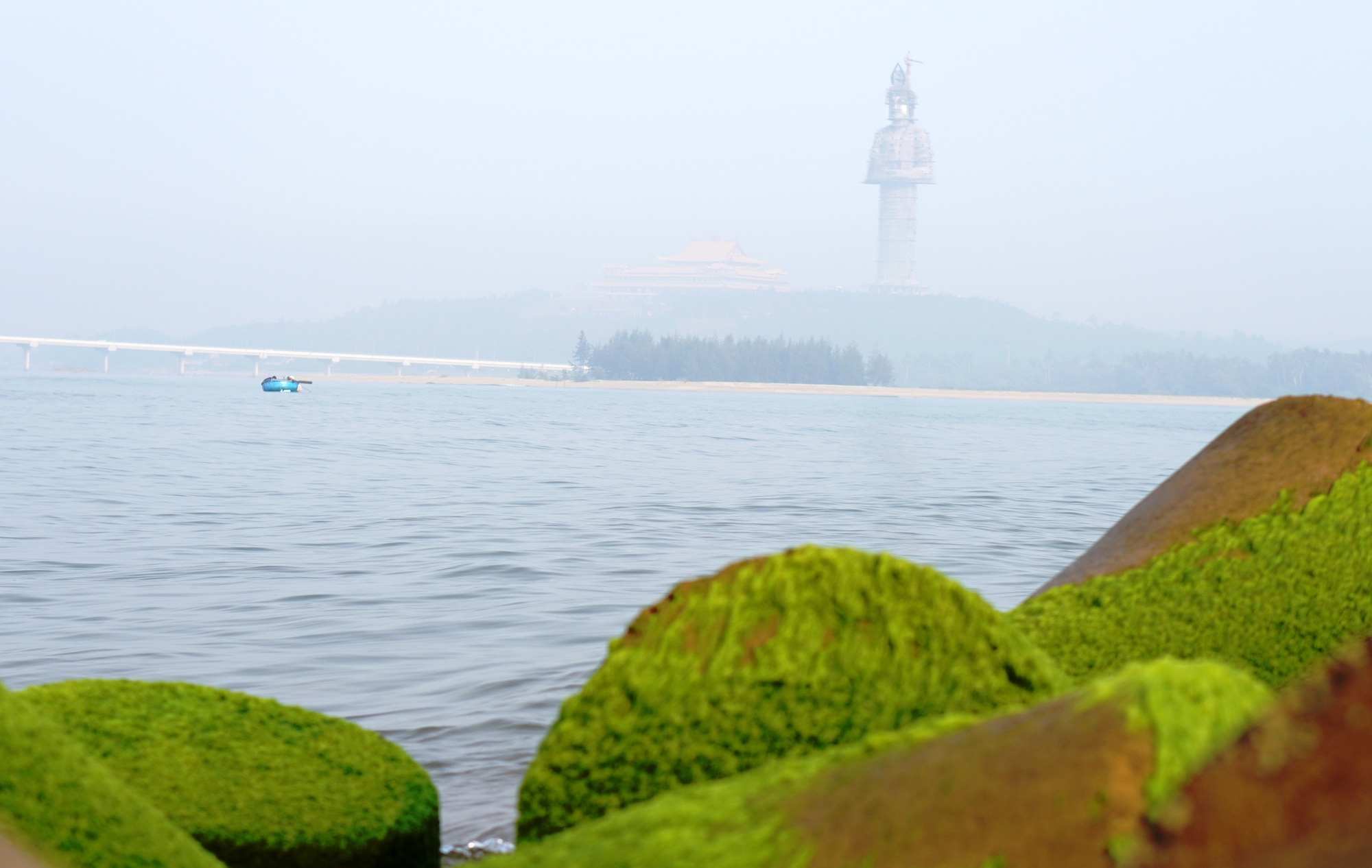Ngắm bãi rêu tuyệt đẹp ở TP Quảng Ngãi và thưởng lãm tượng Phật Quan Âm cao nhất Đông Nam Á - Ảnh: TRẦN MAI