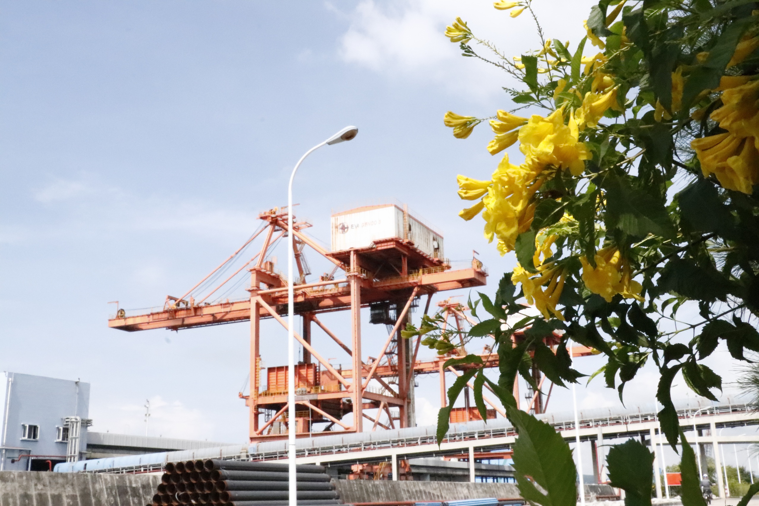 Nhà máy nhiệt điện Vĩnh Tân 2: Nỗ lực hướng đến sự phát triển bền vững- Ảnh 3. Nhà máy nhiệt điện Vĩnh Tân 2: Nỗ lực hướng đến sự phát triển bền vững- Ảnh 3.