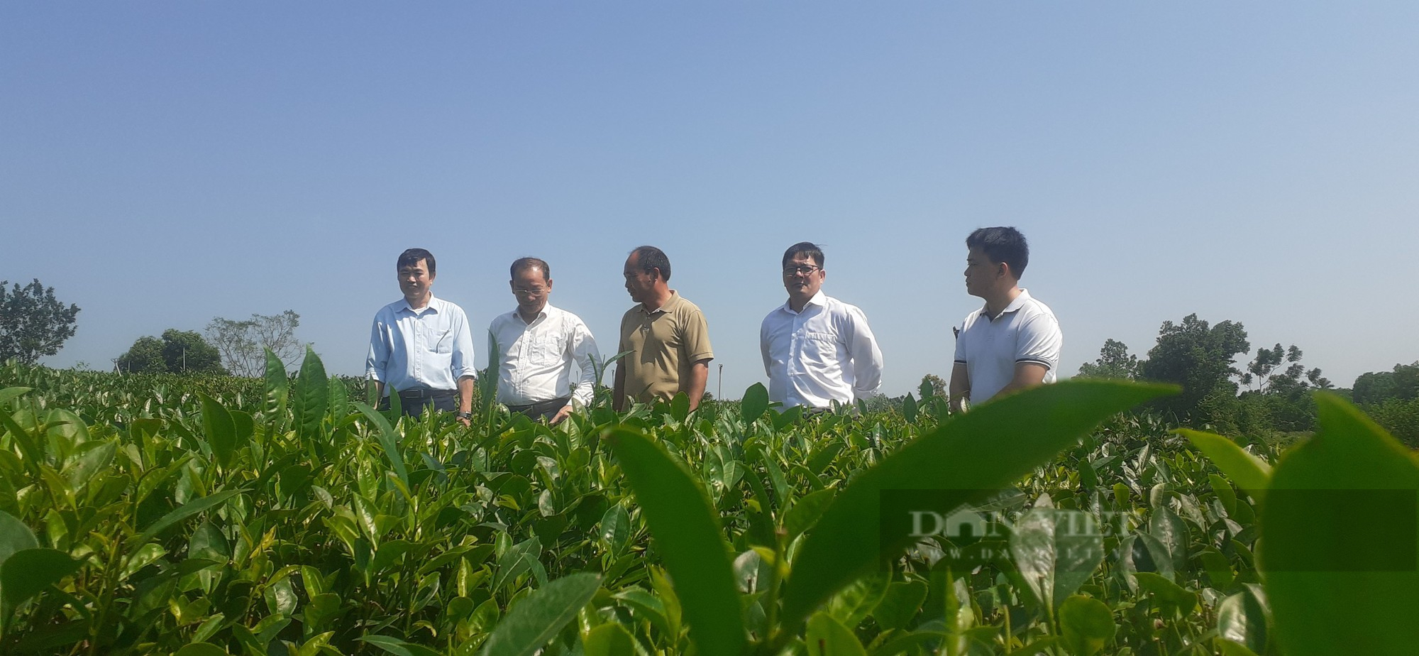 Nông dân Thái Nguyên sản xuất thuận lợi hơn từ khi vay vốn Quỹ Hỗ trợ nông dân của Hội Nông dân- Ảnh 1. Nông dân Thái Nguyên sản xuất thuận lợi hơn từ khi vay vốn Quỹ Hỗ trợ nông dân của Hội Nông dân- Ảnh 1.