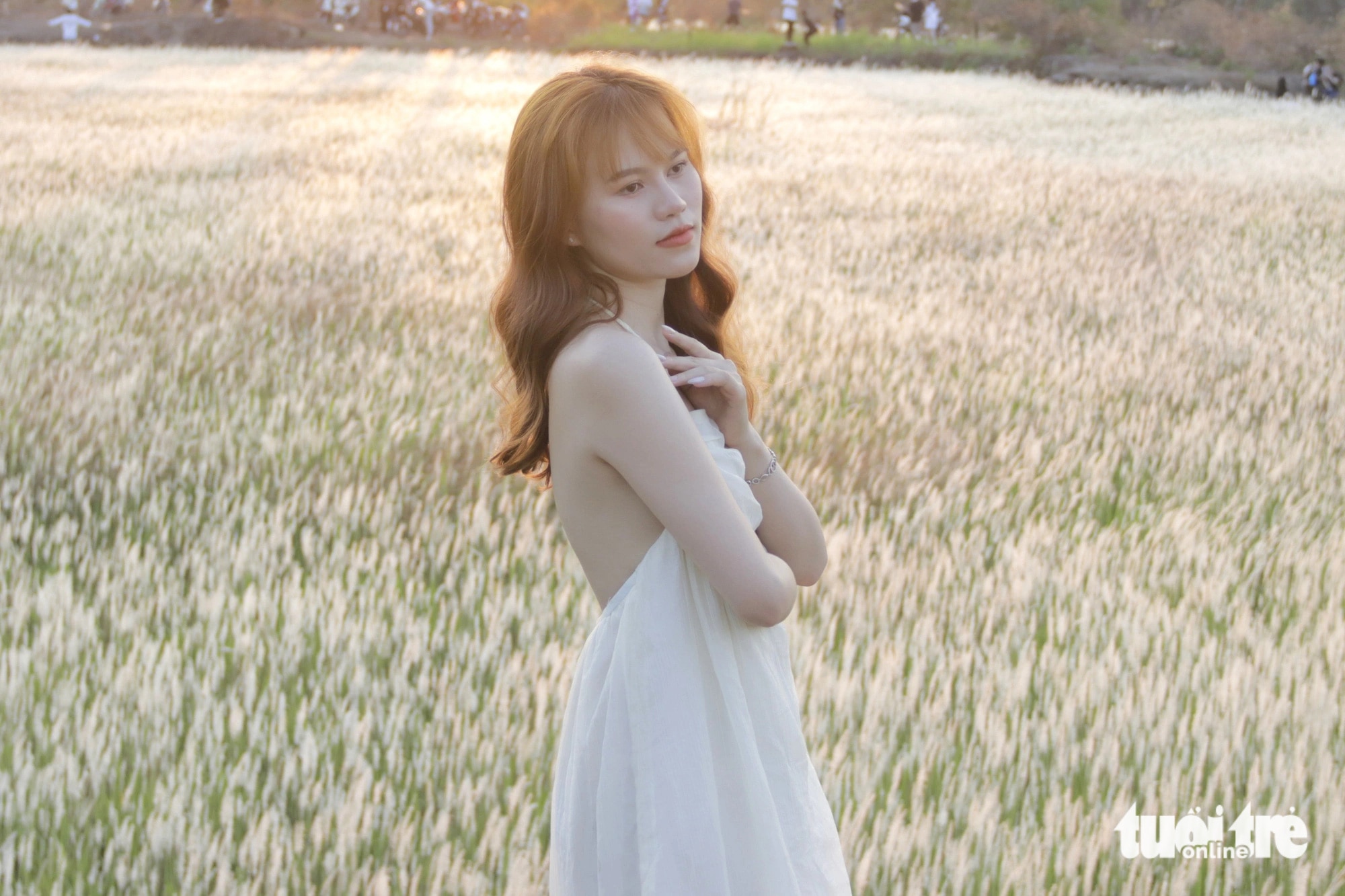 Một thiếu nữ diện váy trắng, làm mẫu chụp ảnh tại bãi cỏ lau - Ảnh: TIẾN QUỐC