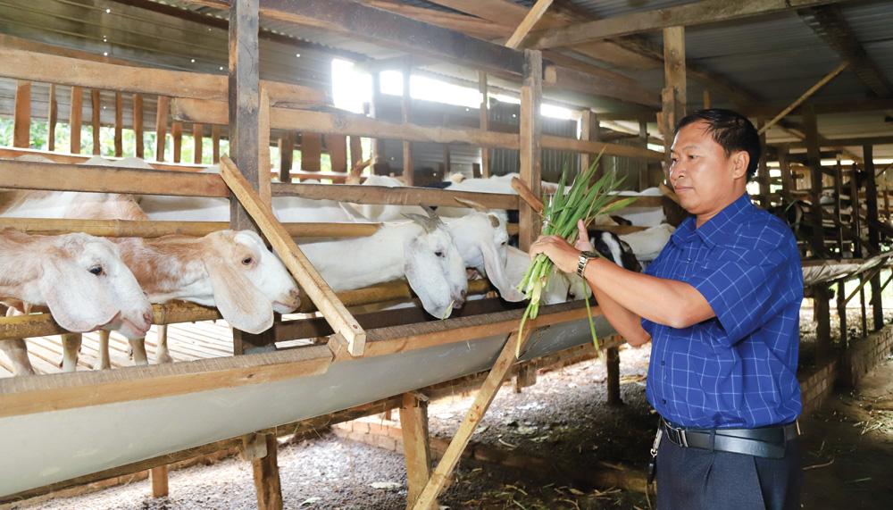 Đây là những vật nuôi mới đang mang lại thu nhập tốt hơn cho nông dân một huyện của Lâm Đồng- Ảnh 1. Đây là những vật nuôi mới đang mang lại thu nhập tốt hơn cho nông dân một huyện của Lâm Đồng- Ảnh 1.