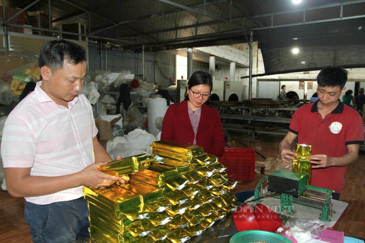 Những nông dân, hợp tác xã tiên phong sản xuất nông nghiệp tuần hoàn ở Thái Nguyên- Ảnh 1.