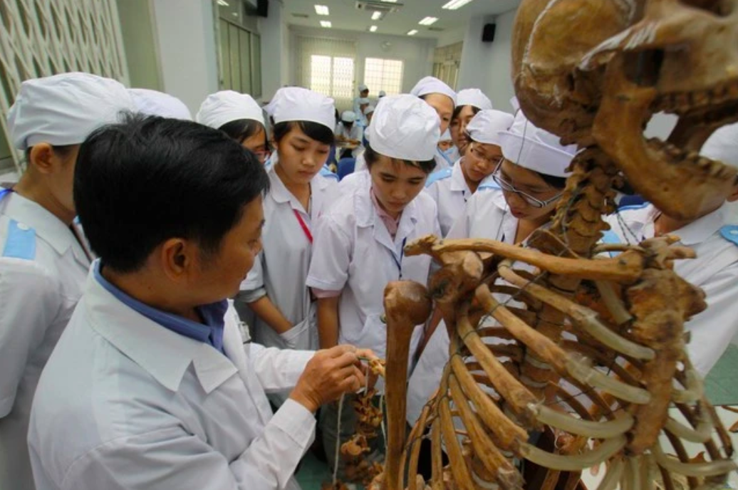 Tốt nghiệp ĐH ngành sức khỏe, có thể học các chuyên khoa nào, theo quy định mới?- Ảnh 1. Tốt nghiệp ĐH ngành sức khỏe, có thể học các chuyên khoa nào, theo quy định mới?- Ảnh 1.