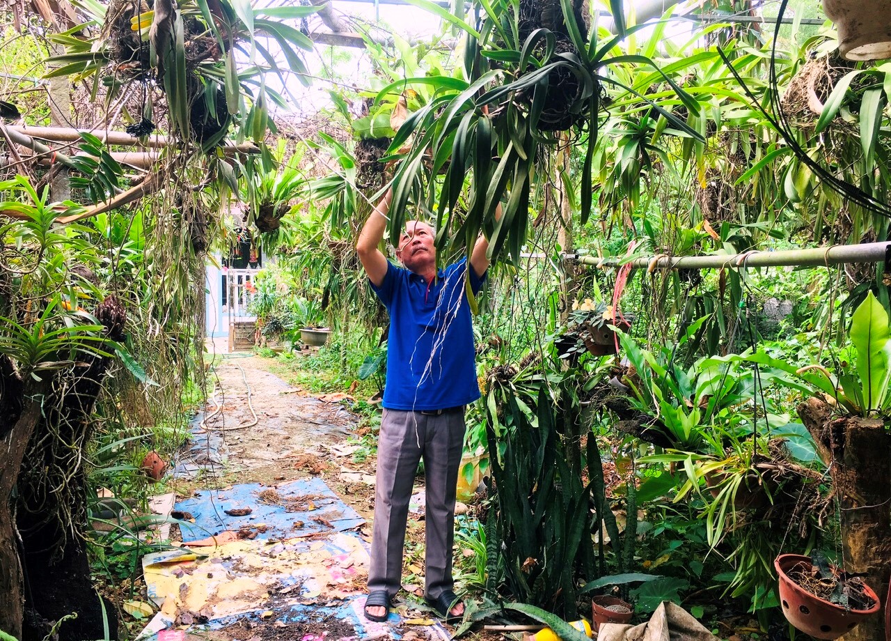 Trồng lan rừng, vườn đẹp như phim, nuôi thêm lợn rừng, một hội viên, nông dân Bắc Kạn giàu lên- Ảnh 1.