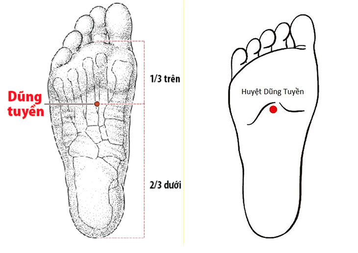 Xoa bóp bấm huyệt có lợi ích gì với người loãng xương?- Ảnh 2. Xoa bóp bấm huyệt có lợi ích gì với người loãng xương?- Ảnh 2.