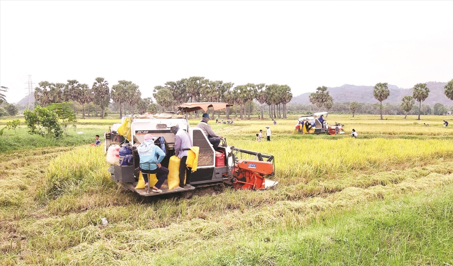 Xã Ô Lâm đưa máy móc vào phục vụ sản xuất, góp phần tăng thu nhập, giảm nghèo bền vững.