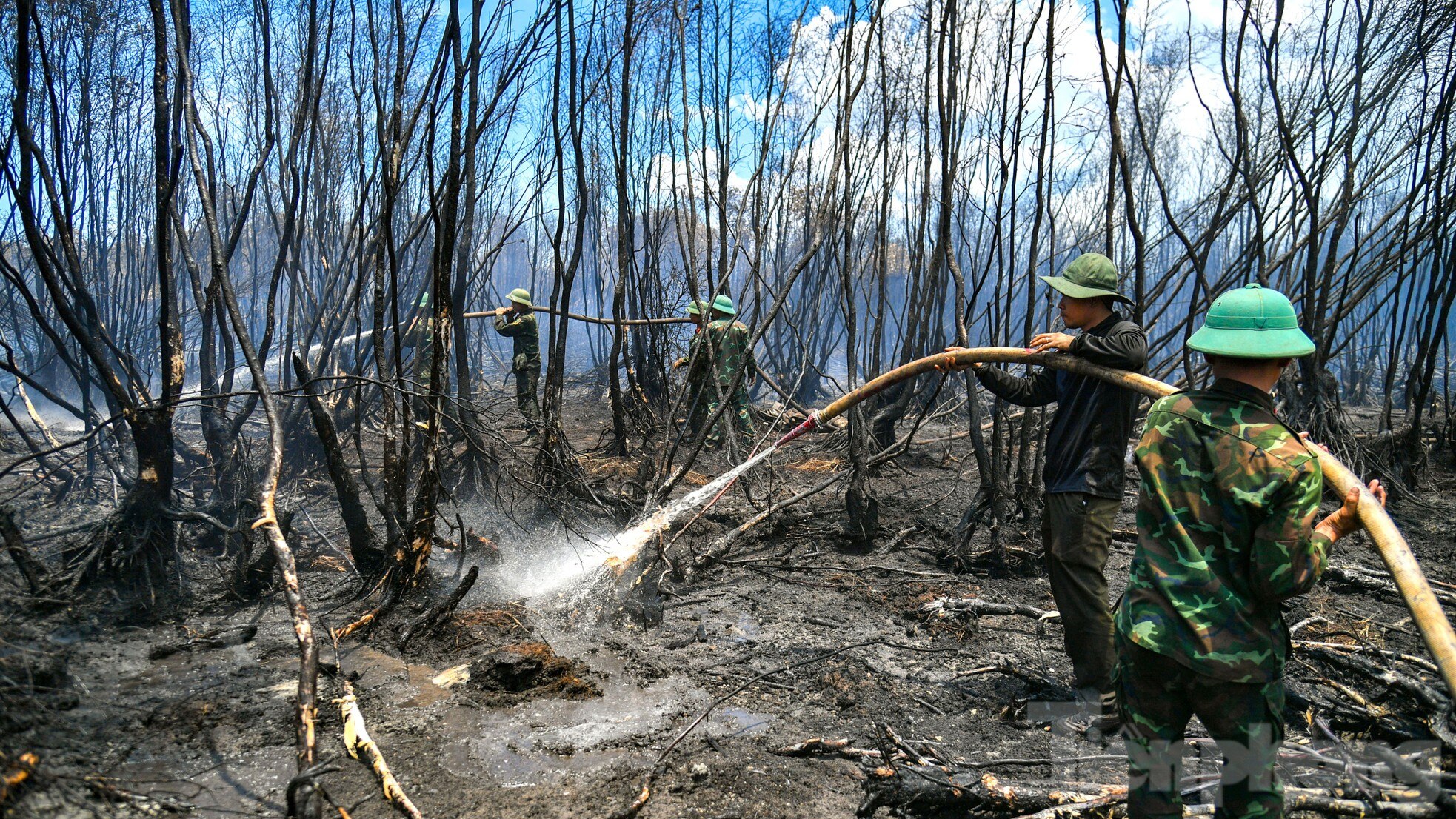 Gần 100 giờ chiến đấu với 'giặc lửa', khống chế vụ cháy rừng ở Kiên Giang ảnh 7