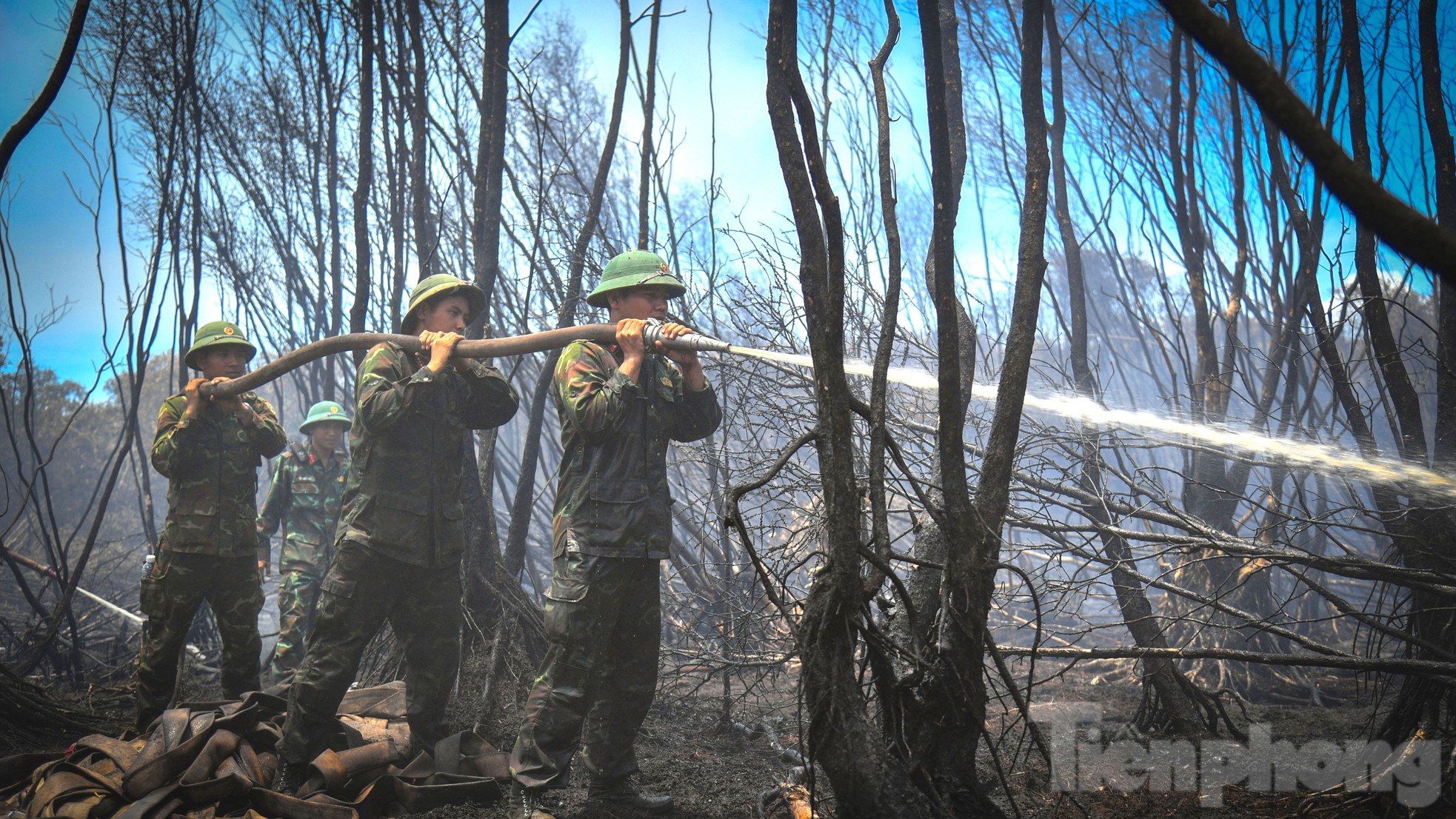 Gần 100 giờ chiến đấu với 'giặc lửa', khống chế vụ cháy rừng ở Kiên Giang ảnh 6