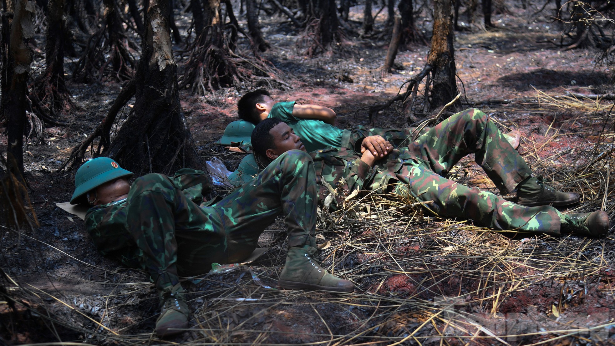 Gần 100 giờ chiến đấu với 'giặc lửa', khống chế vụ cháy rừng ở Kiên Giang ảnh 11