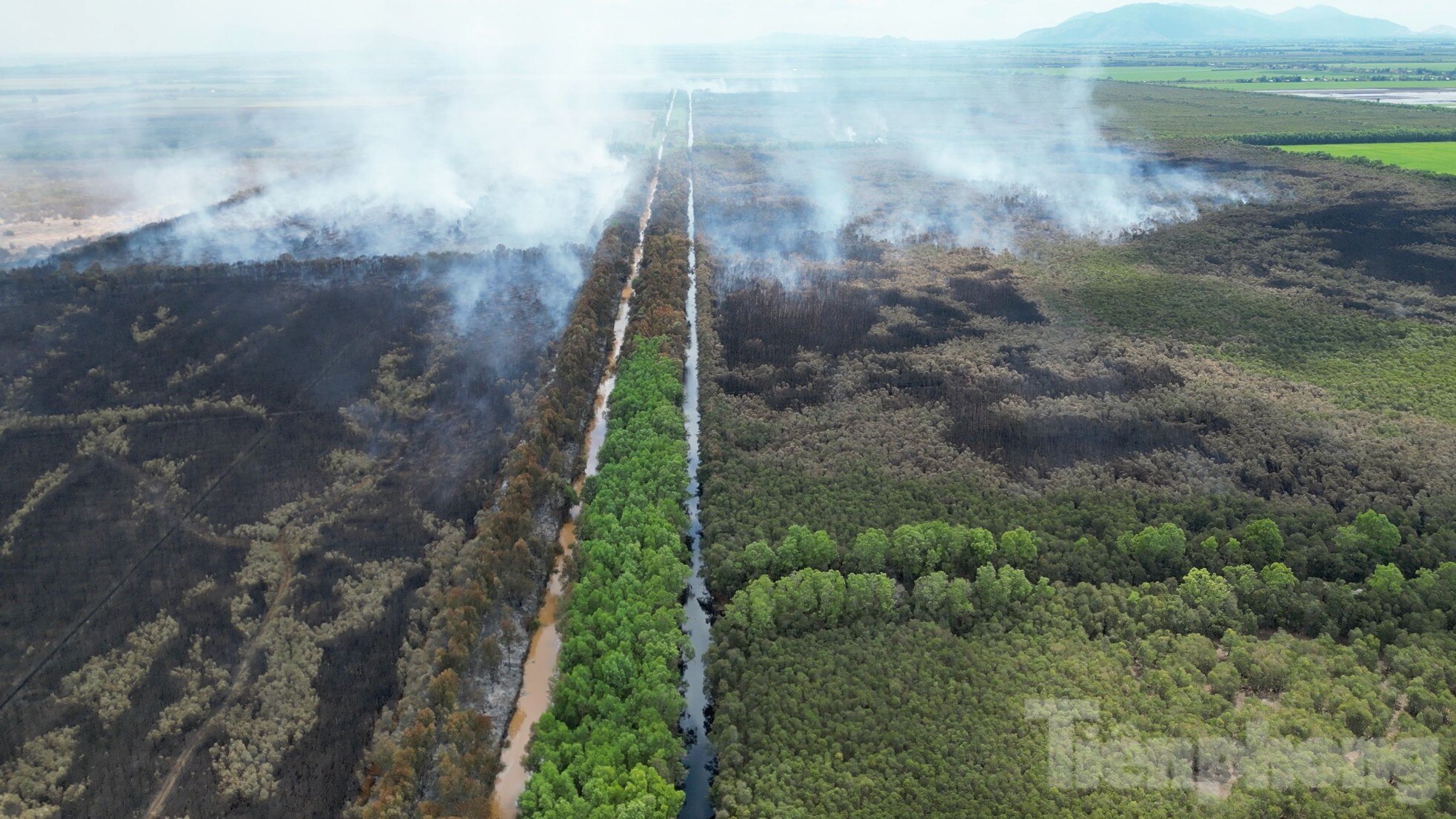 Gần 100 giờ chiến đấu với 'giặc lửa', khống chế vụ cháy rừng ở Kiên Giang ảnh 12