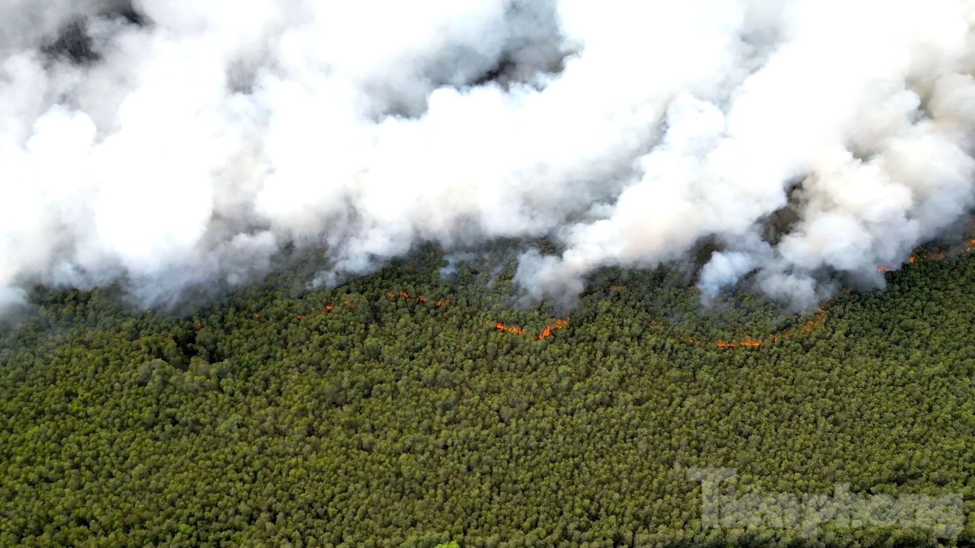 Gần 100 giờ chiến đấu với 'giặc lửa', khống chế vụ cháy rừng ở Kiên Giang ảnh 14