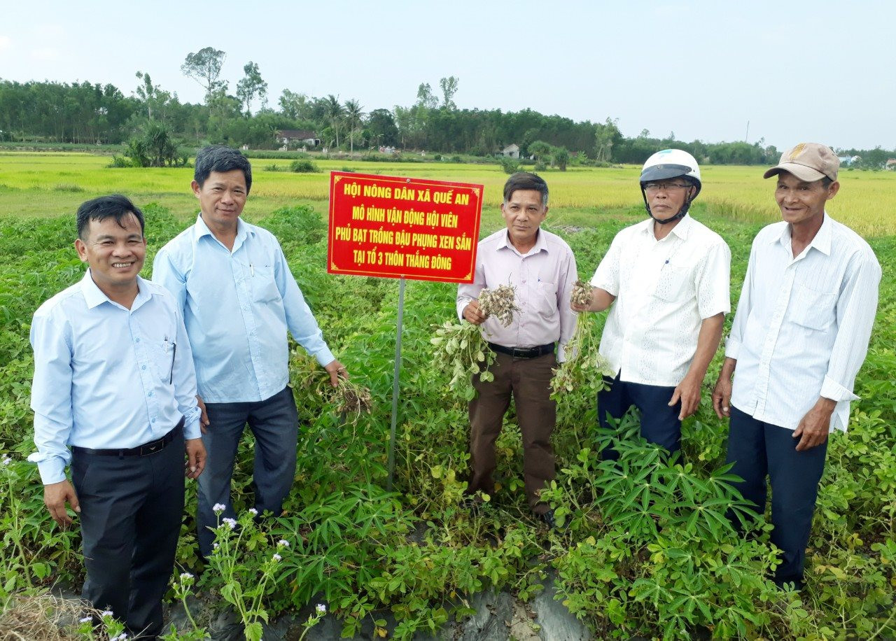 Nông dân một xã ở Quảng Nam chuyển từ làm lúa sang trồng những loại cây gì mà thu nhập tốt hơn hẳn?- Ảnh 3. Nông dân một xã ở Quảng Nam chuyển từ làm lúa sang trồng những loại cây gì mà thu nhập tốt hơn hẳn?- Ảnh 3.