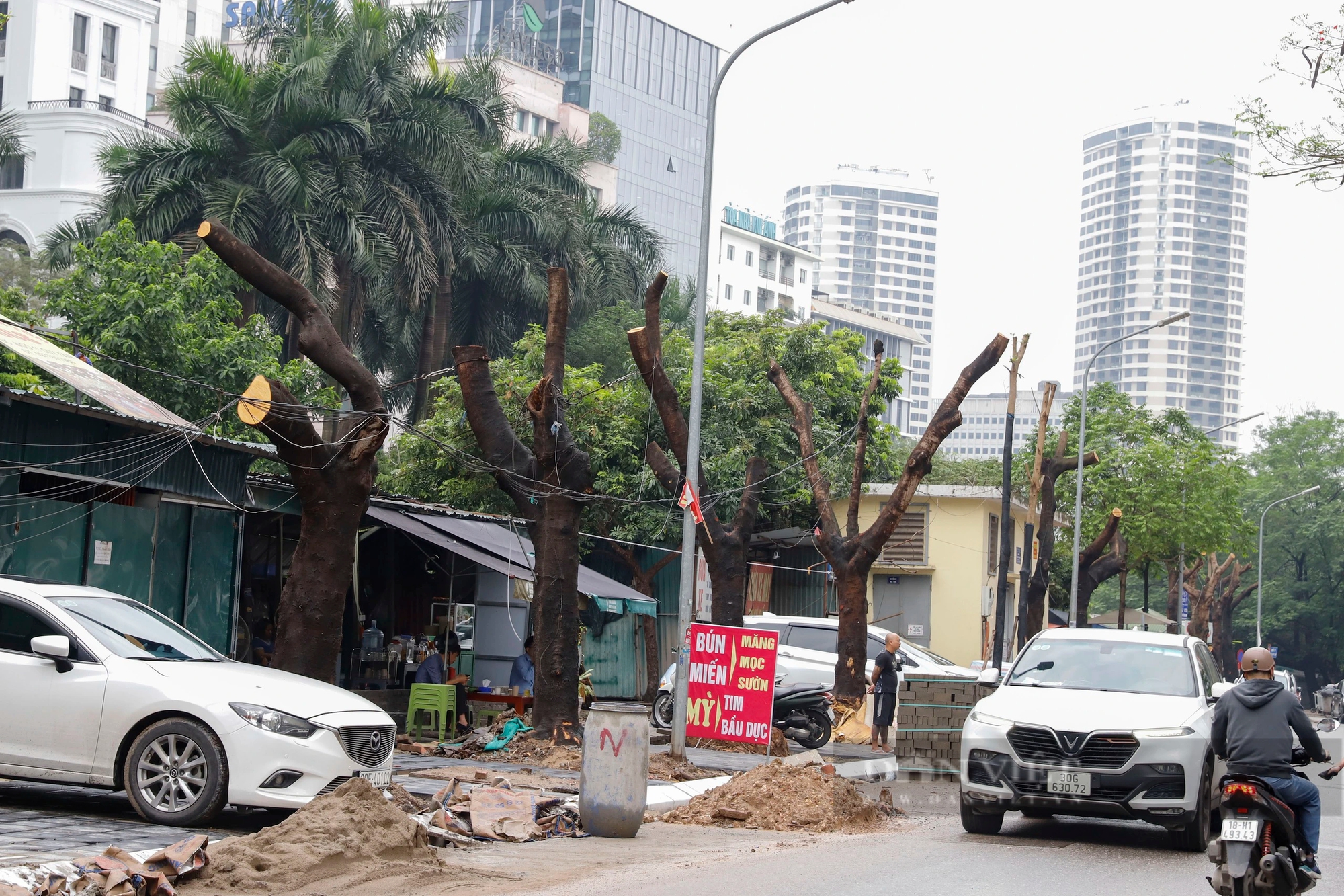 Hàng loạt cây xanh phủ bóng mát bị cắt tỉa trơ trụi giữa mùa hè tại Hà Nội- Ảnh 5. Hàng loạt cây xanh phủ bóng mát bị cắt tỉa trơ trụi giữa mùa hè tại Hà Nội- Ảnh 5.
