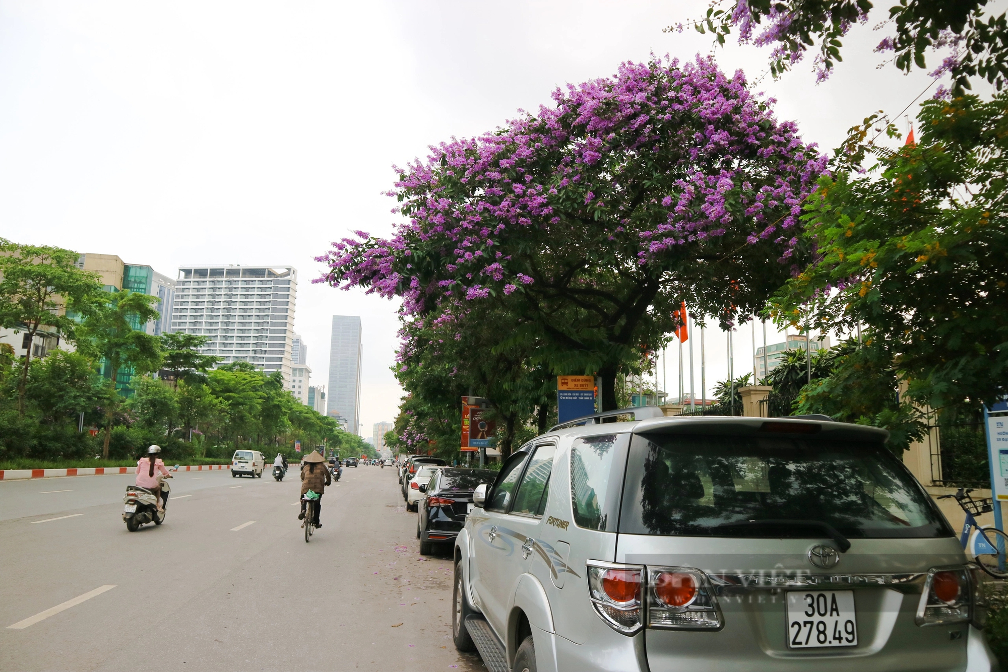 Ngắm loài hoa Ngắm loài hoa