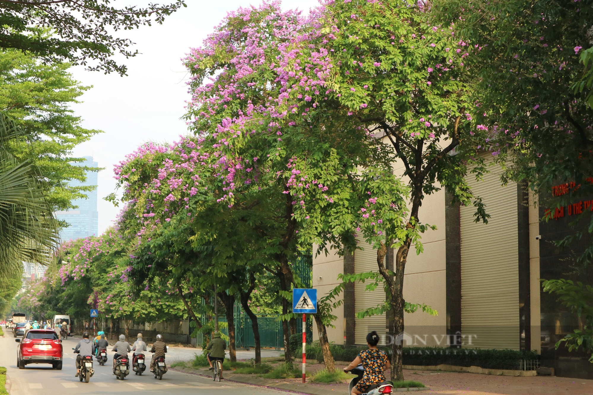 Ngắm loài hoa Ngắm loài hoa