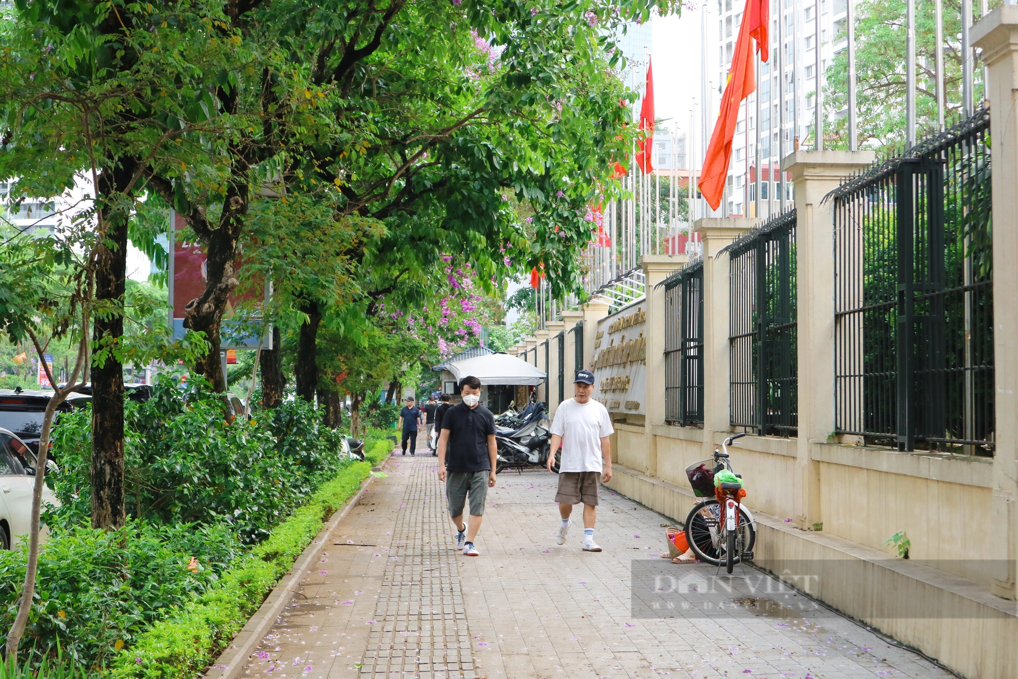 Ngắm loài hoa Ngắm loài hoa