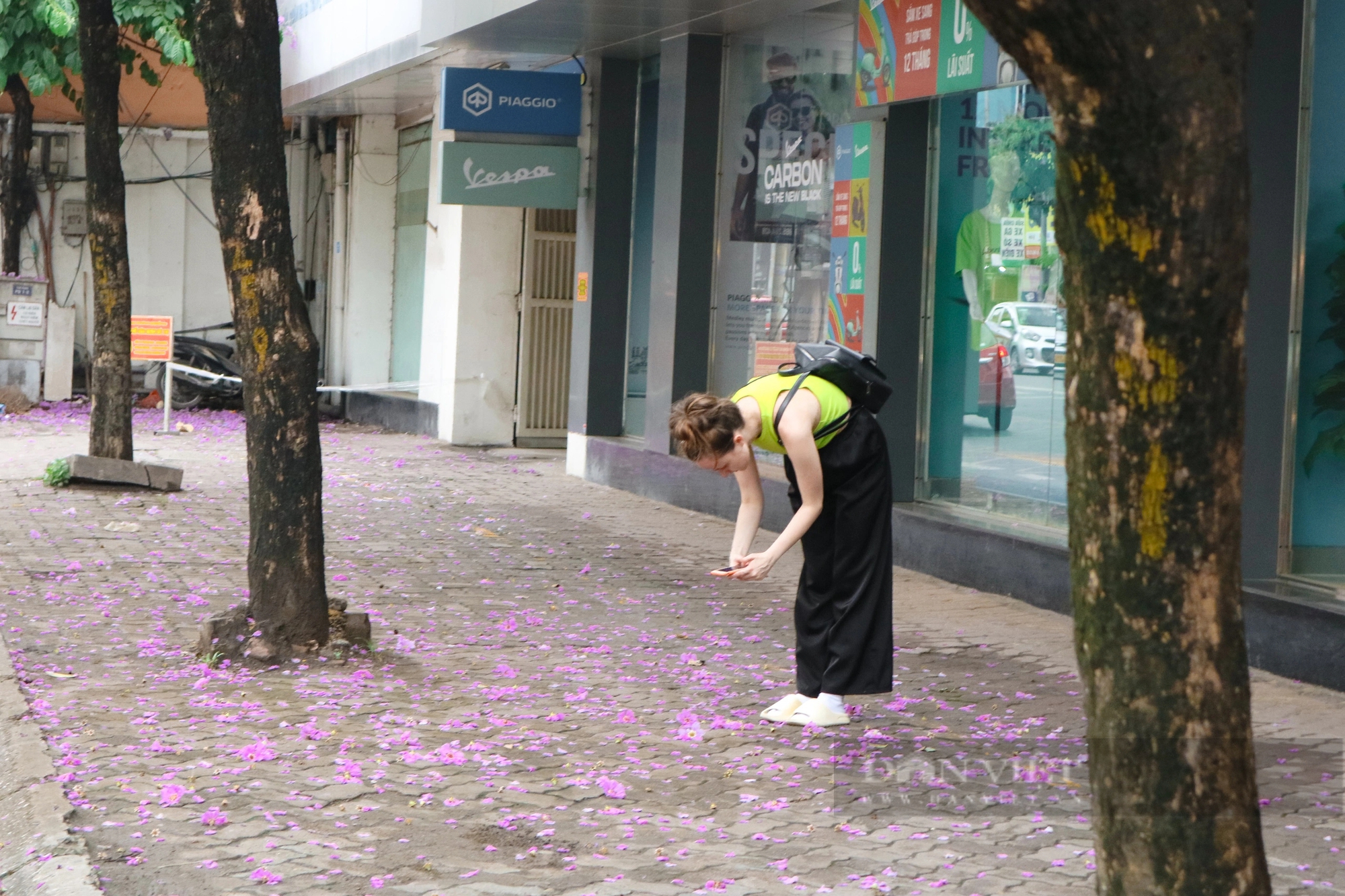 Ngắm loài hoa Ngắm loài hoa