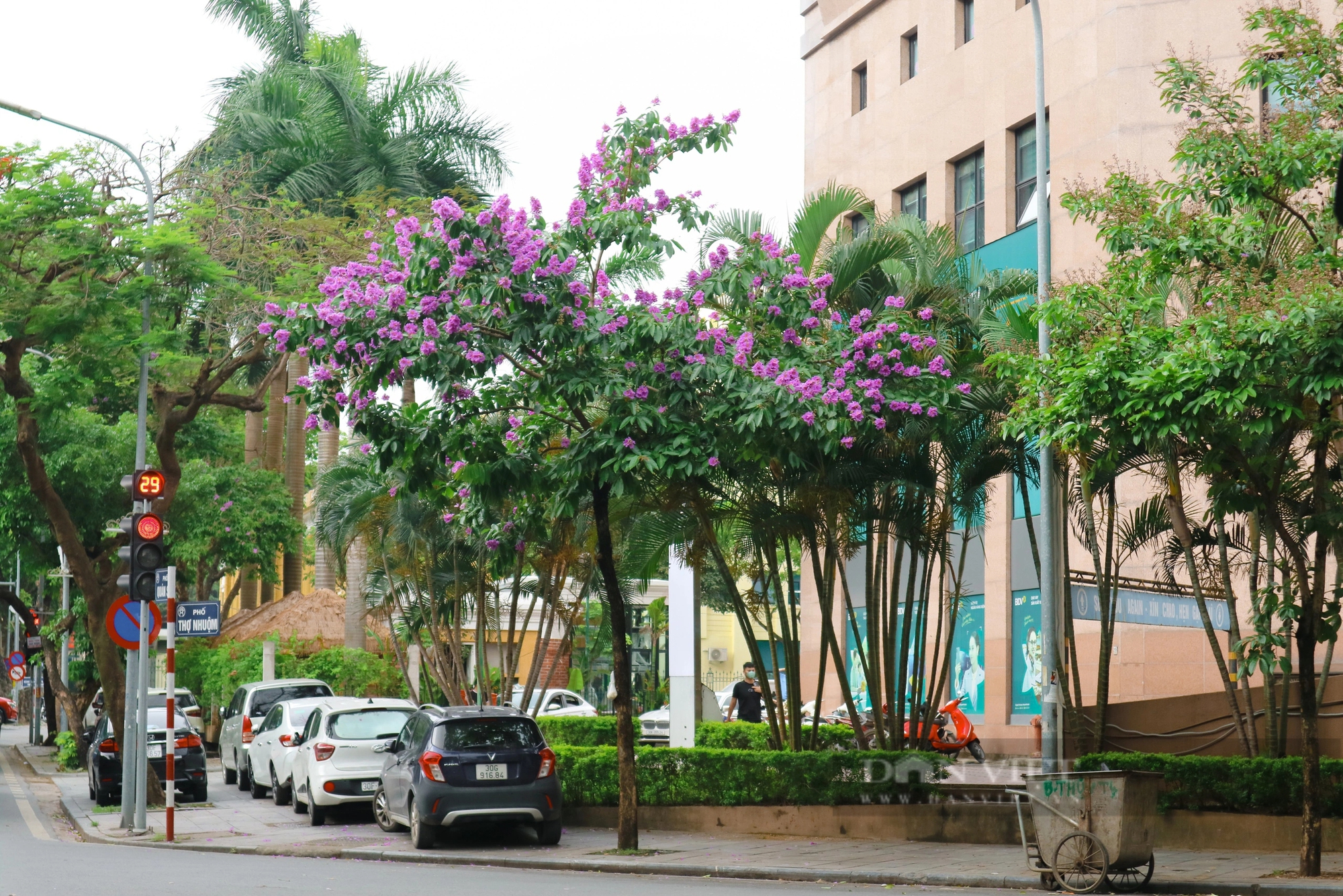 Ngắm loài hoa Ngắm loài hoa