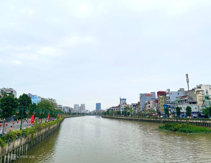 Dọc hai bên bờ sông Tam Bạc, phuờng Hạ Lý, quận Hồng Bàng hiện trồng khoảng 150 cây mít. Ảnh: Quỳnh Nguyễn