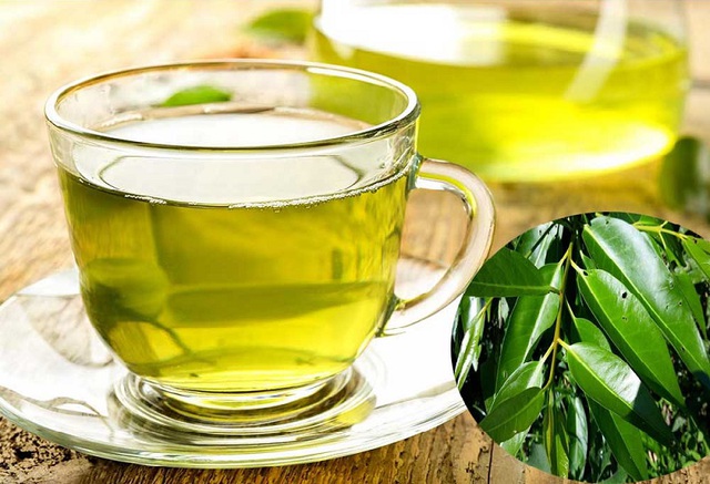Bất ngờ loại lá quen thuộc của người Việt giúp hỗ trợ điều trị bệnh tiểu đường, giải độc gan hiệu quả - Ảnh 3. Bất ngờ loại lá quen thuộc của người Việt giúp hỗ trợ điều trị bệnh tiểu đường, giải độc gan hiệu quả - Ảnh 3.