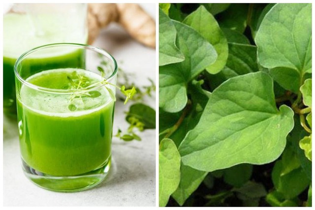 Loại rau mùa hè tốt cho người bệnh tiểu đường và giải độc gan an toàn, hiệu quả- Ảnh 3. Loại rau mùa hè tốt cho người bệnh tiểu đường và giải độc gan an toàn, hiệu quả- Ảnh 3.