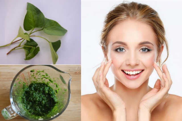 Loại rau mùa hè tốt cho người bệnh tiểu đường và giải độc gan an toàn, hiệu quả- Ảnh 4. Loại rau mùa hè tốt cho người bệnh tiểu đường và giải độc gan an toàn, hiệu quả- Ảnh 4.