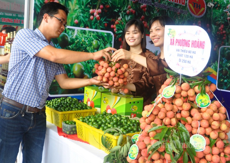 Vải thiều Thanh Hà