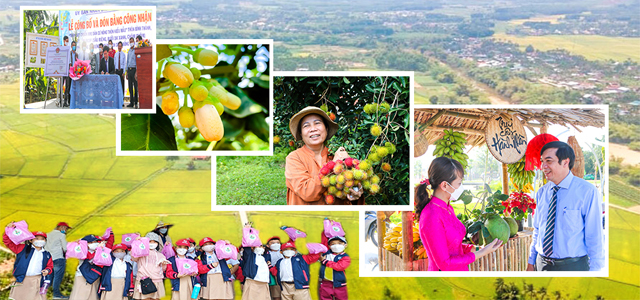 Xây dựng nông thôn mới gắn với phát triển du lịch nông thôn, Quảng Ngãi kỳ vọng điều này- Ảnh 3. Xây dựng nông thôn mới gắn với phát triển du lịch nông thôn, Quảng Ngãi kỳ vọng điều này- Ảnh 3.
