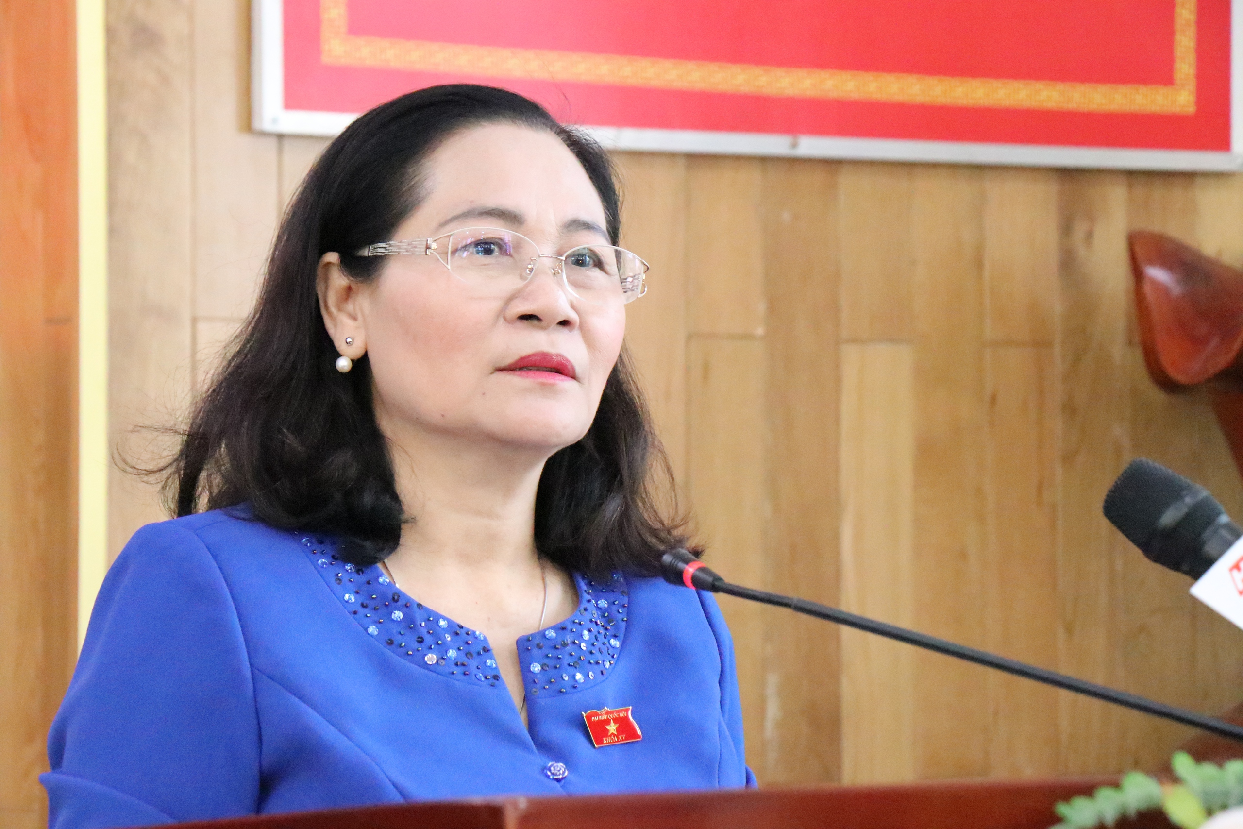Bà Nguyễn Thị Lệ: Nỗi khổ của dân là quy hoạch treo, không làm gì được- Ảnh 2. Bà Nguyễn Thị Lệ, Chủ tịch HĐND TP.HCM đề nghị các cấp, ban ngành phải sớm có biện pháp hỗ trợ người dân trong lĩnh vực quy hoạch đất đai, xây dựng và tách thửa đất