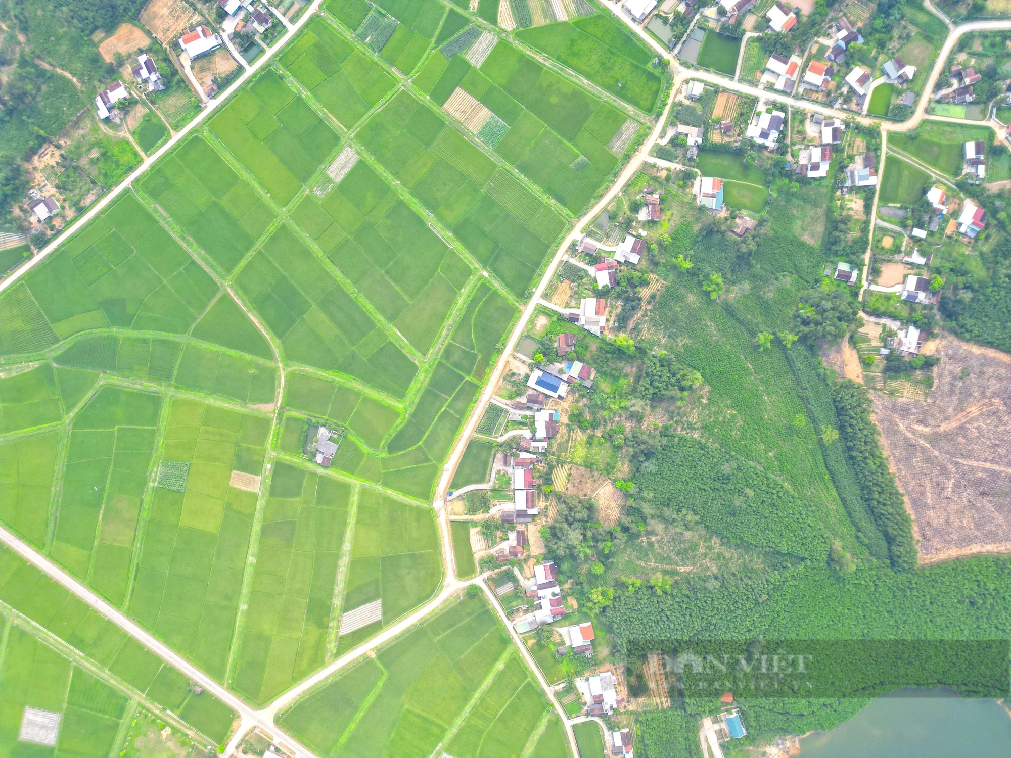 Mãn nhãn cảnh đẹp được ví như “vịnh Hạ Long thu nhỏ” ở miền quê lúa Yên Thành, Nghệ An- Ảnh 8. Mãn nhãn cảnh đẹp được ví như “vịnh Hạ Long thu nhỏ” ở miền quê lúa Yên Thành, Nghệ An- Ảnh 8.