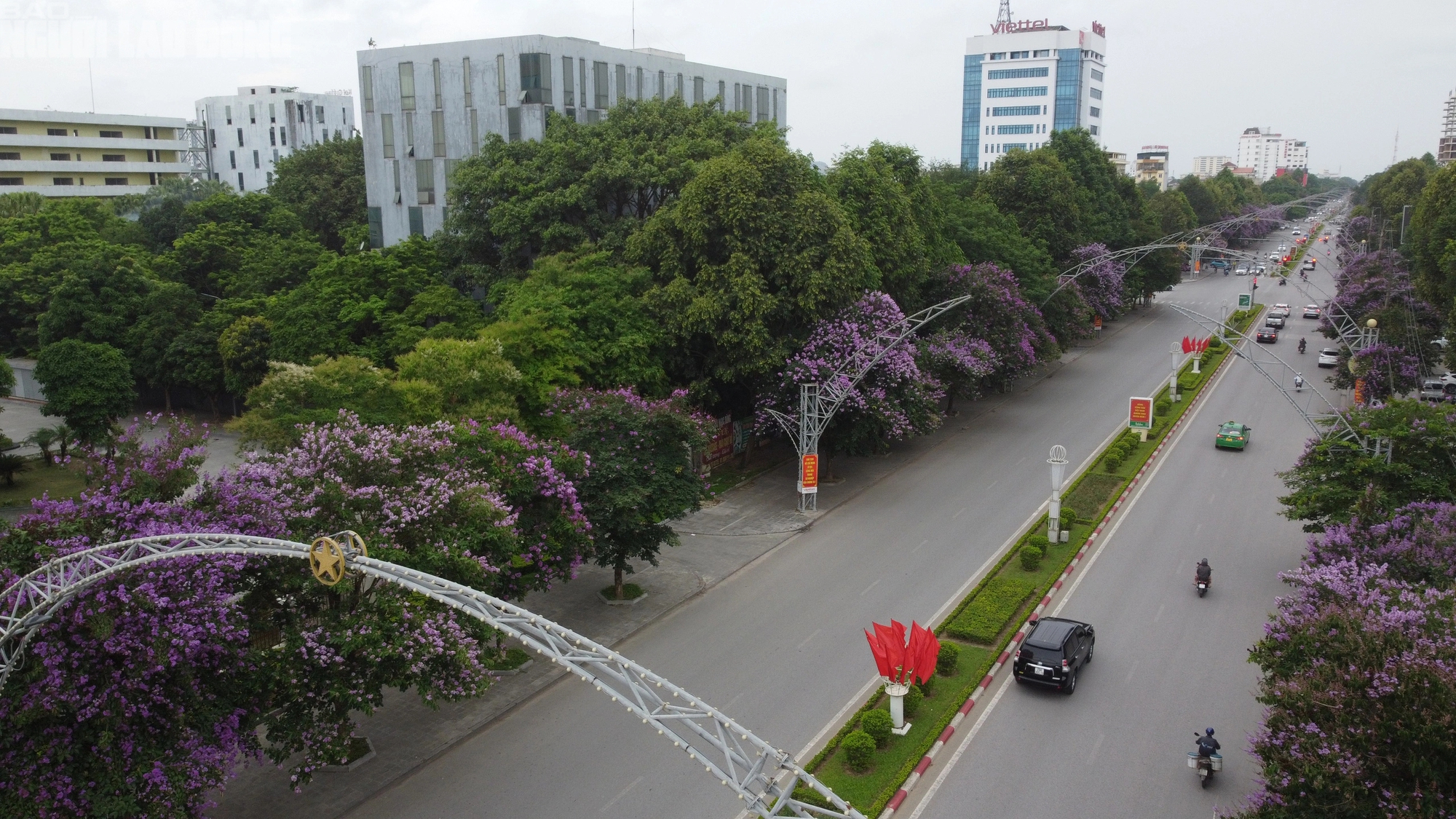 Bằng lăng nở tím trời, giới trẻ xứ Thanh đổ xô đi check-in- Ảnh 14. Bằng lăng nở tím trời, giới trẻ xứ Thanh đổ xô đi check-in- Ảnh 14.