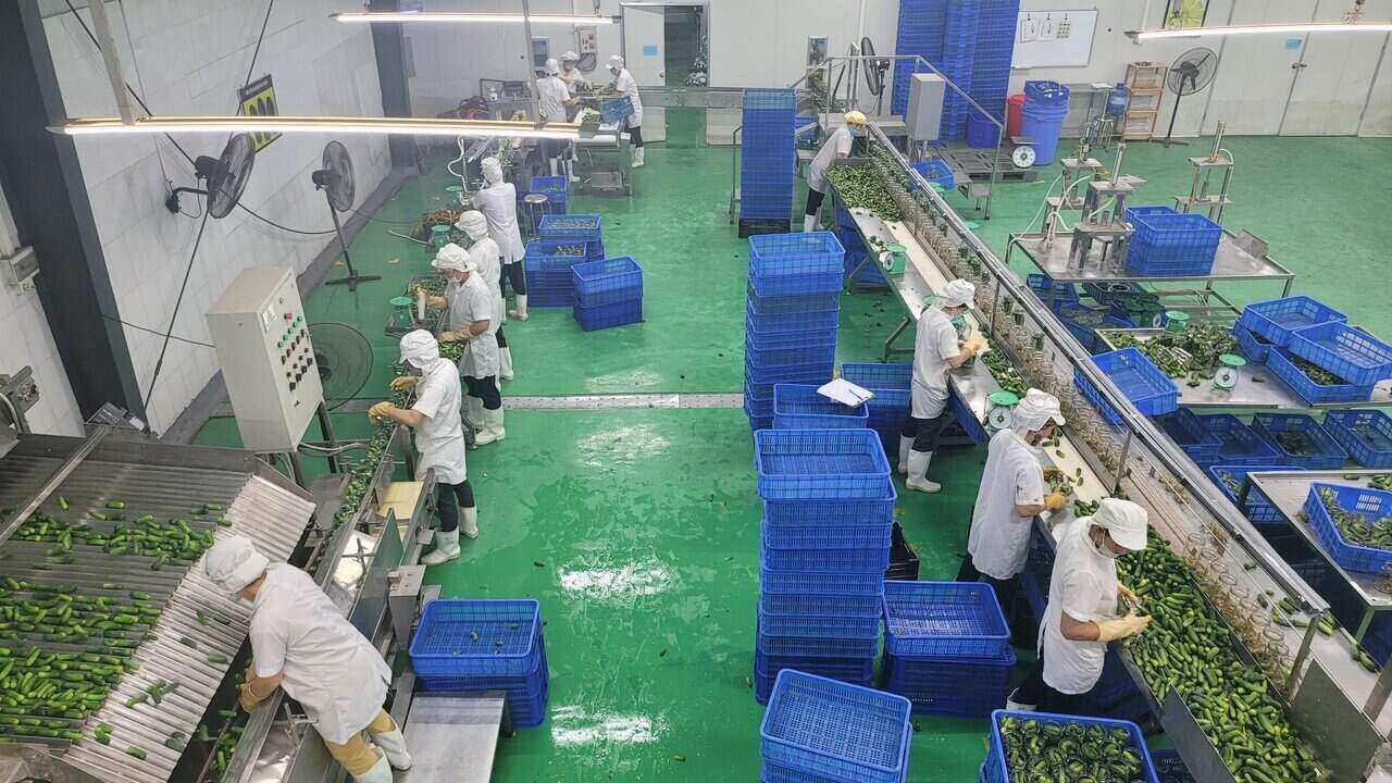 Đây là dự án Nhà máy chế biến rau quả có quy mô lớn nhất ở tỉnh Hòa Bình. Ảnh: Minh Nguyễn