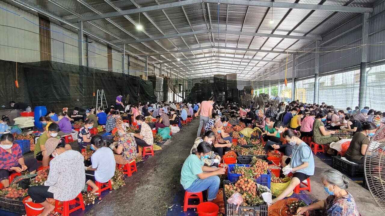 Nhà máy chế biến hoa quả tại huyện Lạc Thủy kỳ vọng tạo ra nhiều việc làm. Ảnh: Minh Nguyễn