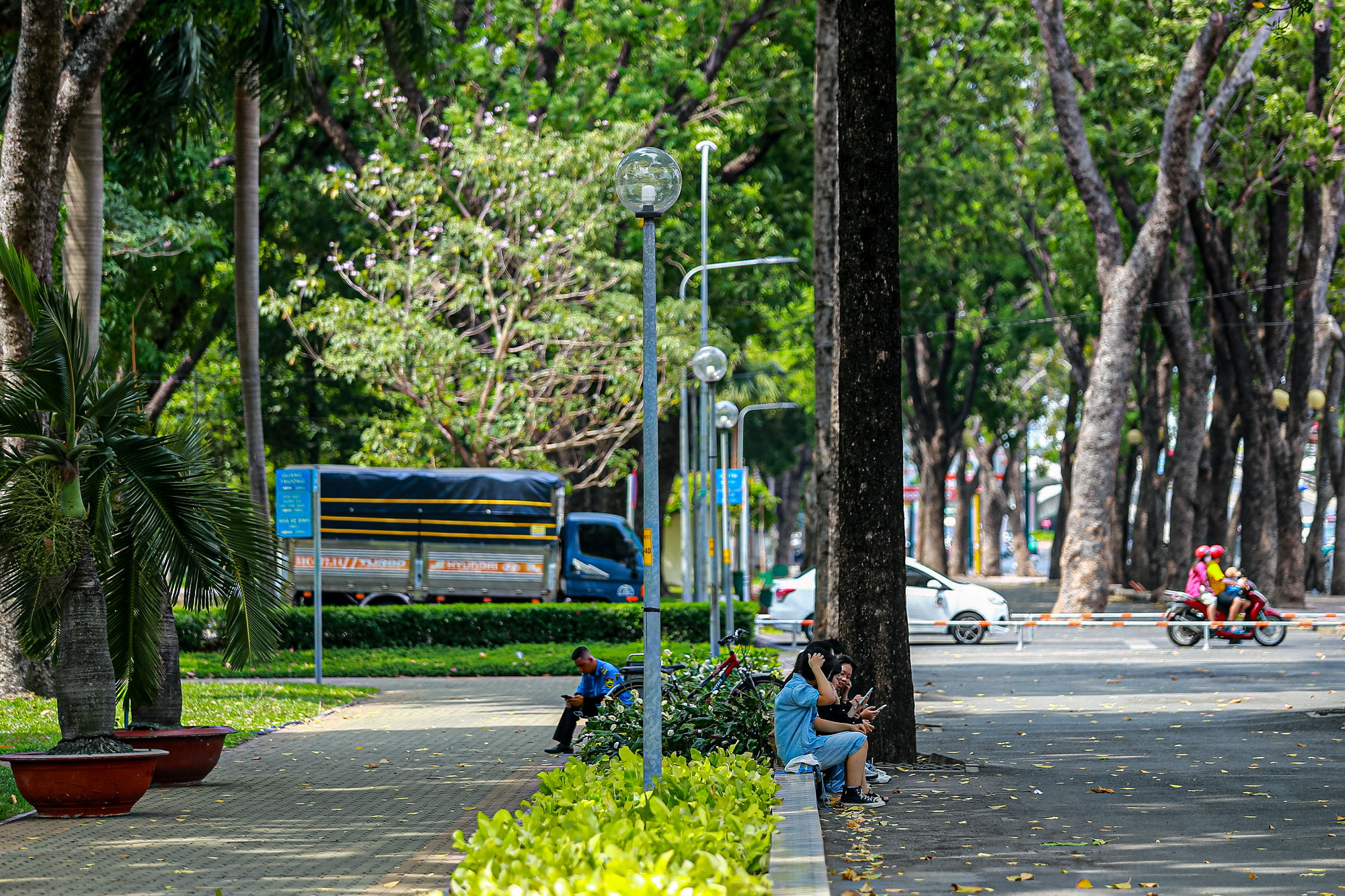 Ngắm những công viên cây xanh rộng lớn, điểm trốn nắng lý tưởng giữa lòng TP.HCM- Ảnh 9. Ngắm những công viên cây xanh rộng lớn, điểm trốn nắng lý tưởng giữa lòng TP.HCM- Ảnh 9.