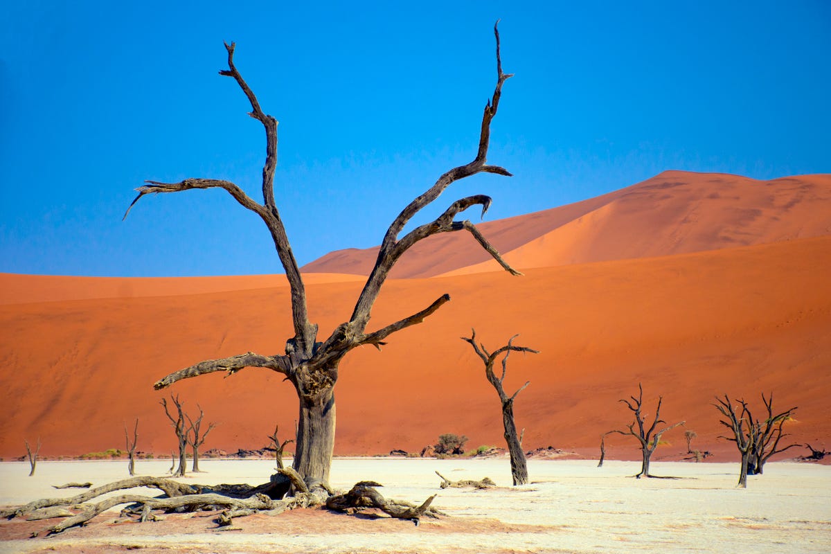 15 bức ảnh kỳ quan thiên nhiên trông như photoshop nhưng thực chất không phải- Ảnh 11. Deadvlei ở Namibia trông giống như một bức tranh nhưng thực chất lại là khung cảnh cằn cỗi bên trong Công viên Quốc gia Namib-Naukluft. Deadvlei là một lòng chảo đất sét trắng ở Namibia. Khi mặt trời chiếu vào những đụn cát, những tàn tích khô héo của những cây gai lạc đà trông giống như chúng đang đứng trên một phông nền sơn màu
