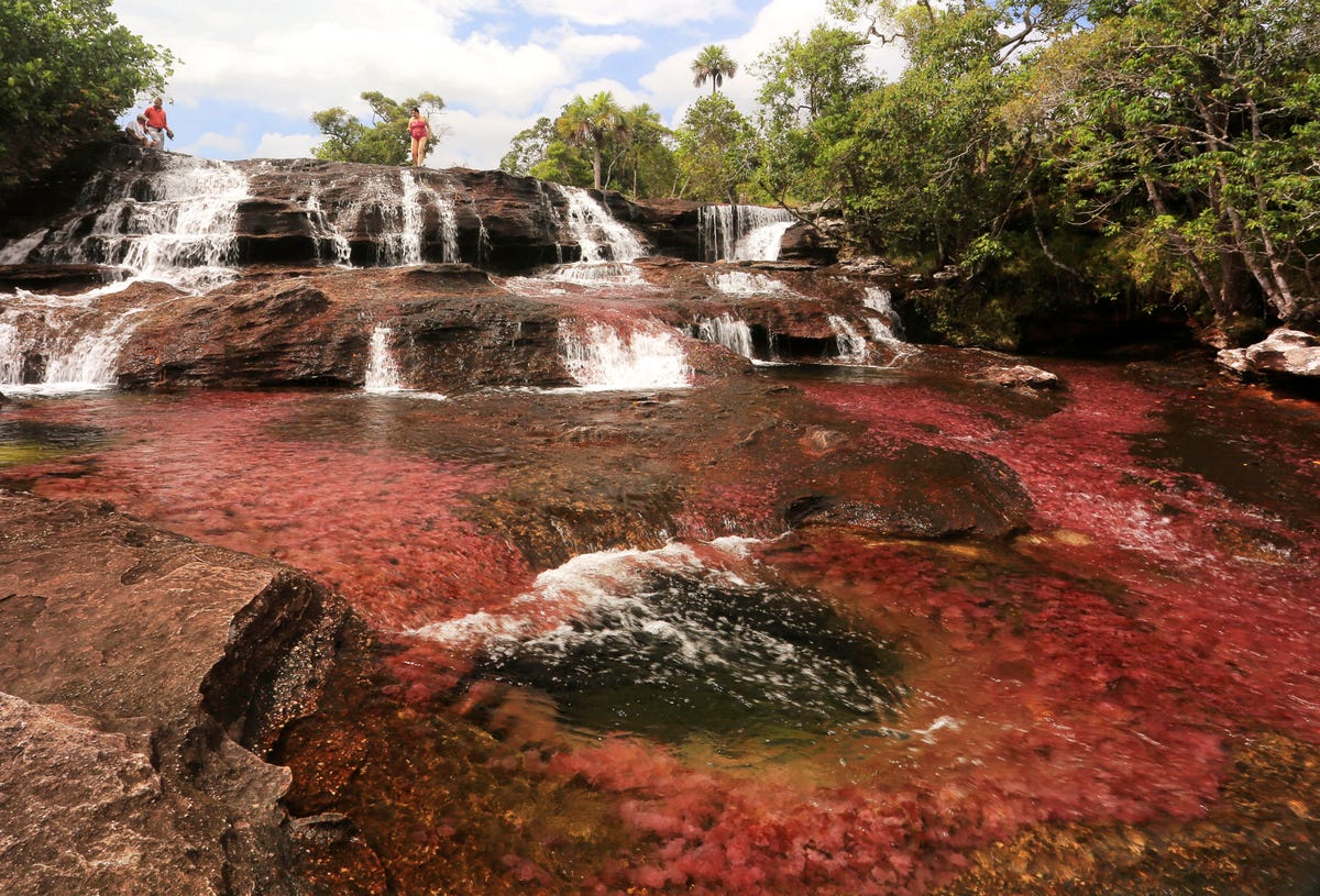 15 bức ảnh kỳ quan thiên nhiên trông như photoshop nhưng thực chất không phải- Ảnh 10. Sông Cano Cristales ở Colombia đôi khi được gọi là