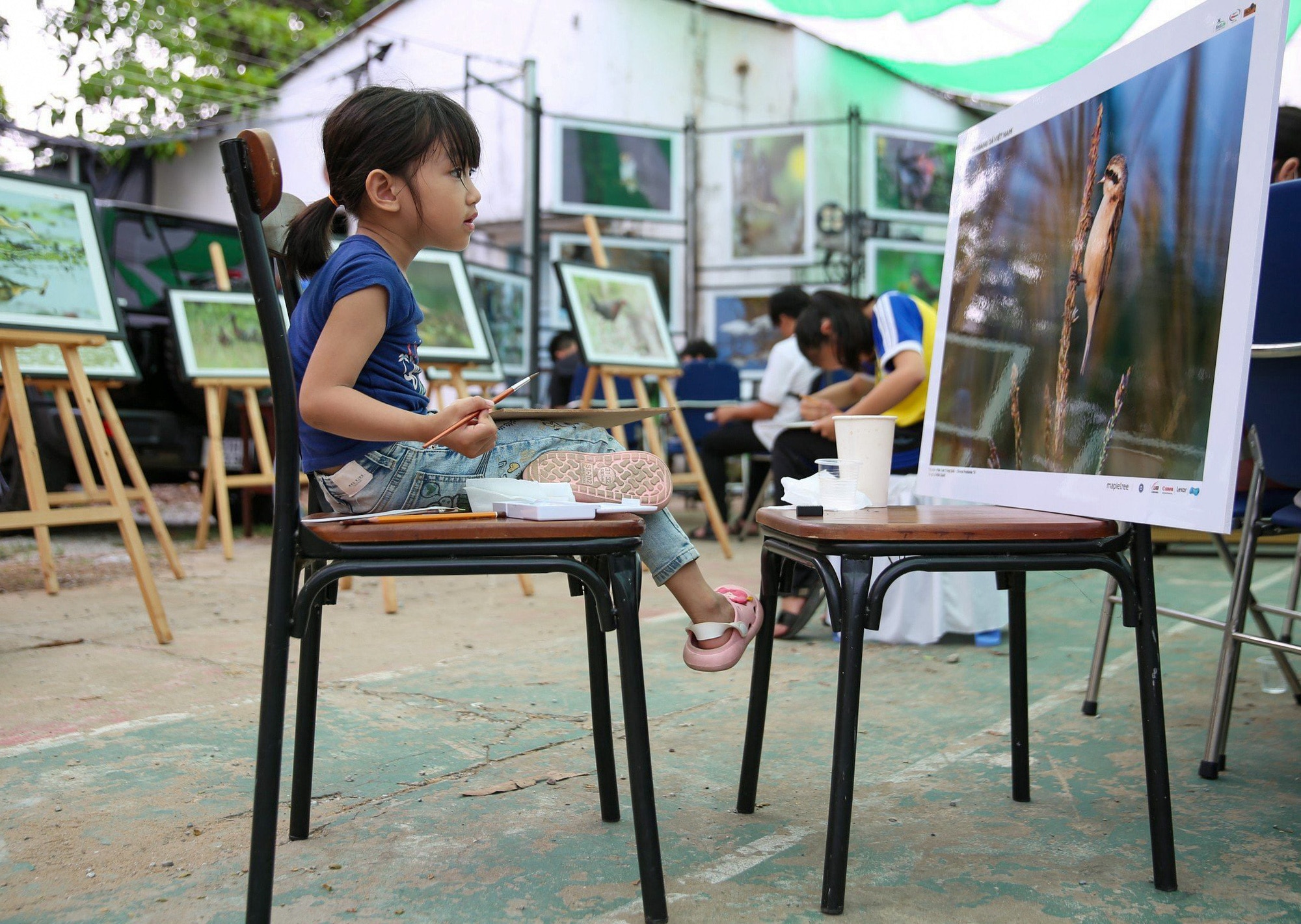 Một cô bé tiểu học đang vẽ - Ảnh: Đào Quốc Bình