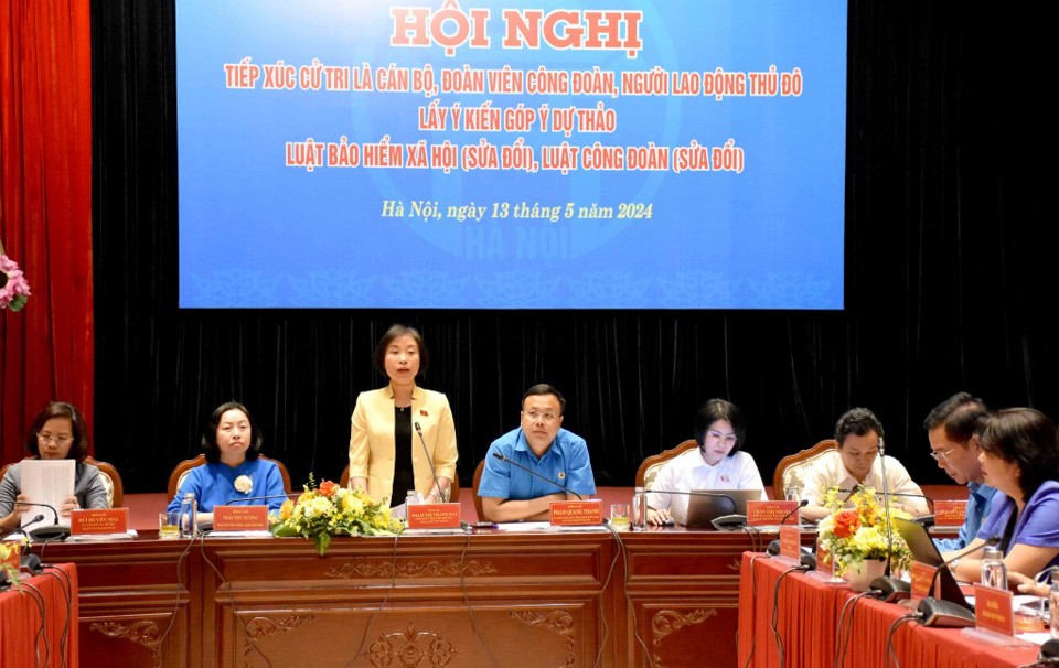 Phó Trưởng đoàn chuyên trách Đoàn đại biểu Quốc hội TP Hà Nội Phạm Thị Thanh Mai phát biểu kết luận hội nghị