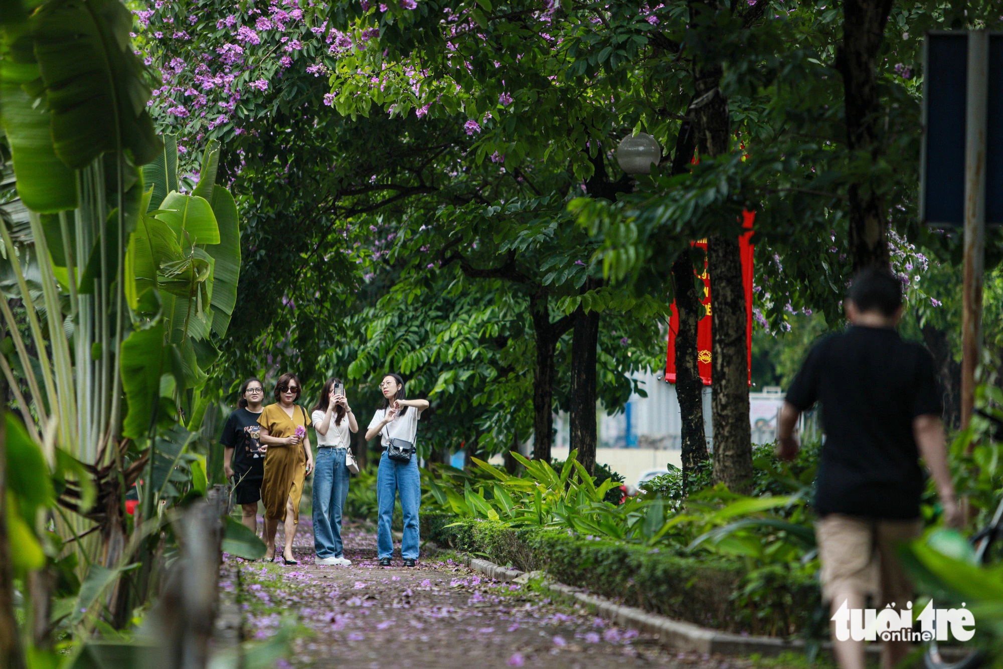 Bằng lăng mộng mơ ‘nhuộm tím’ phố phường Hà Nội- Ảnh 11. Những ngày này, người dân thủ đô thường đến những con đường góc phố lãng mạn sắc hoa bằng lăng để chụp ảnh kỷ niệm - Ảnh: DANH KHANG