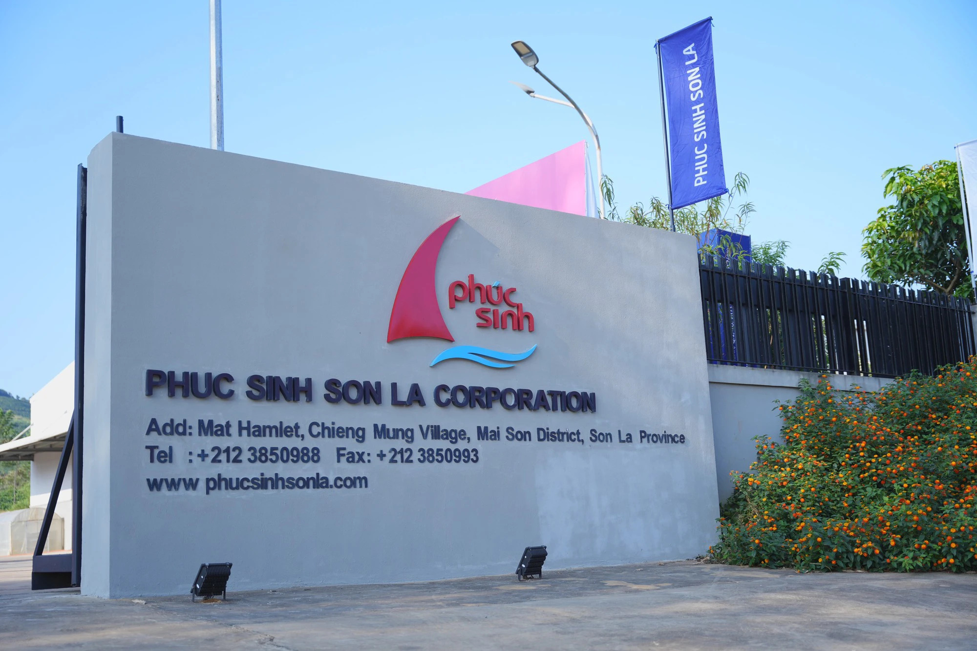 Hiện Công ty CP Phúc Sinh Sơn La đang liên kết với khoảng 1.500 hộ nông dân để trồng cà phê chất lượng cao, đặc sản, cà phê trồng theo tiêu chuẩn RA. Sơn La, những con đường gập ghềnh nhưng nhiều tình yêu với cà phê Arabica- Ảnh 15.