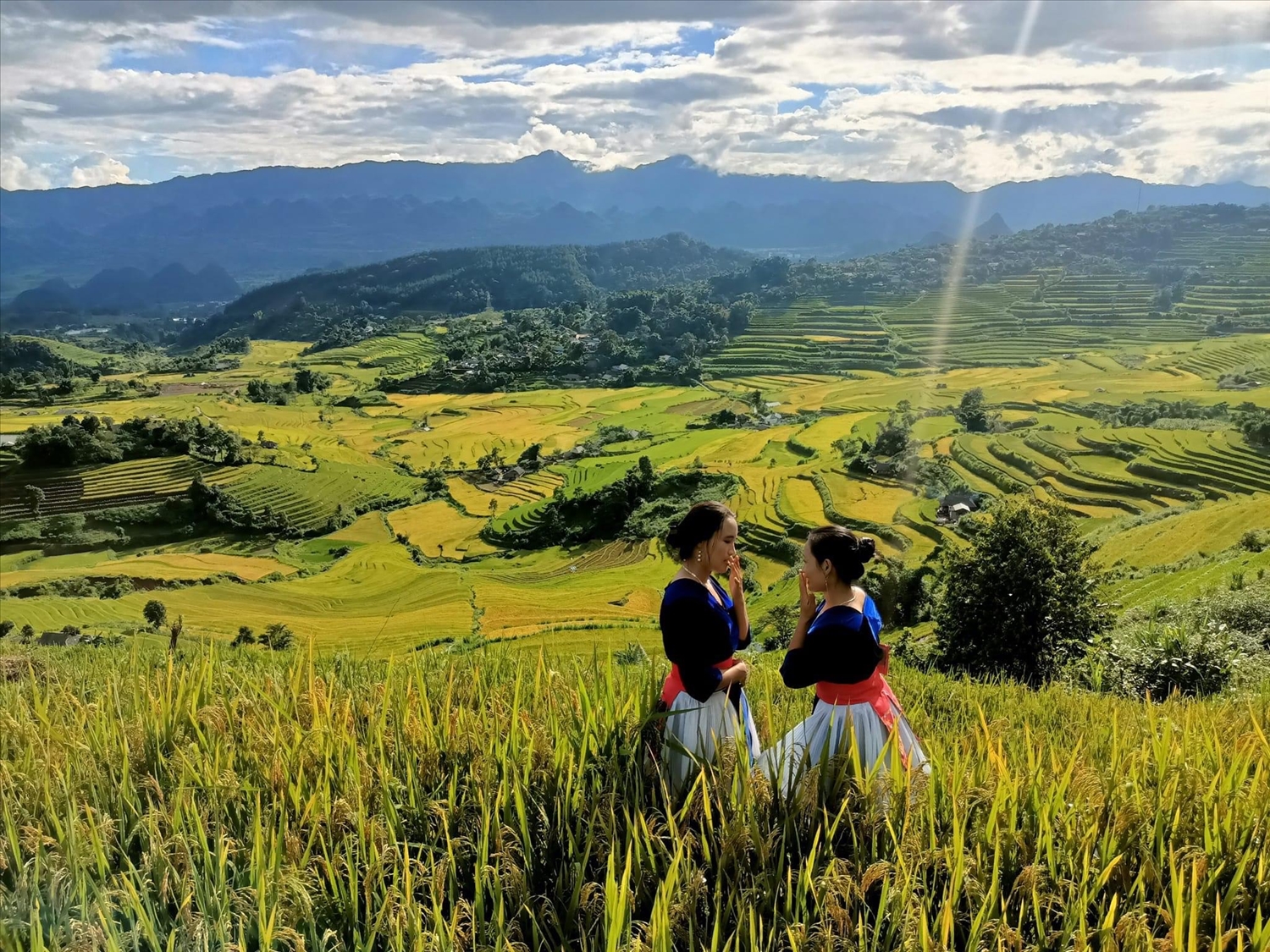 Sơn nữ trên ruộng bậc thang Tả Lèng Sơn nữ trên ruộng bậc thang Tả Lèng