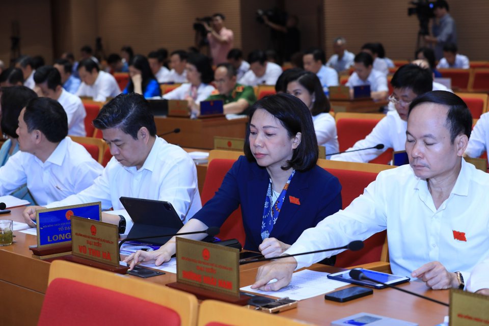 Các đại biểu biểu quyết thông qua Nghị quyết. 