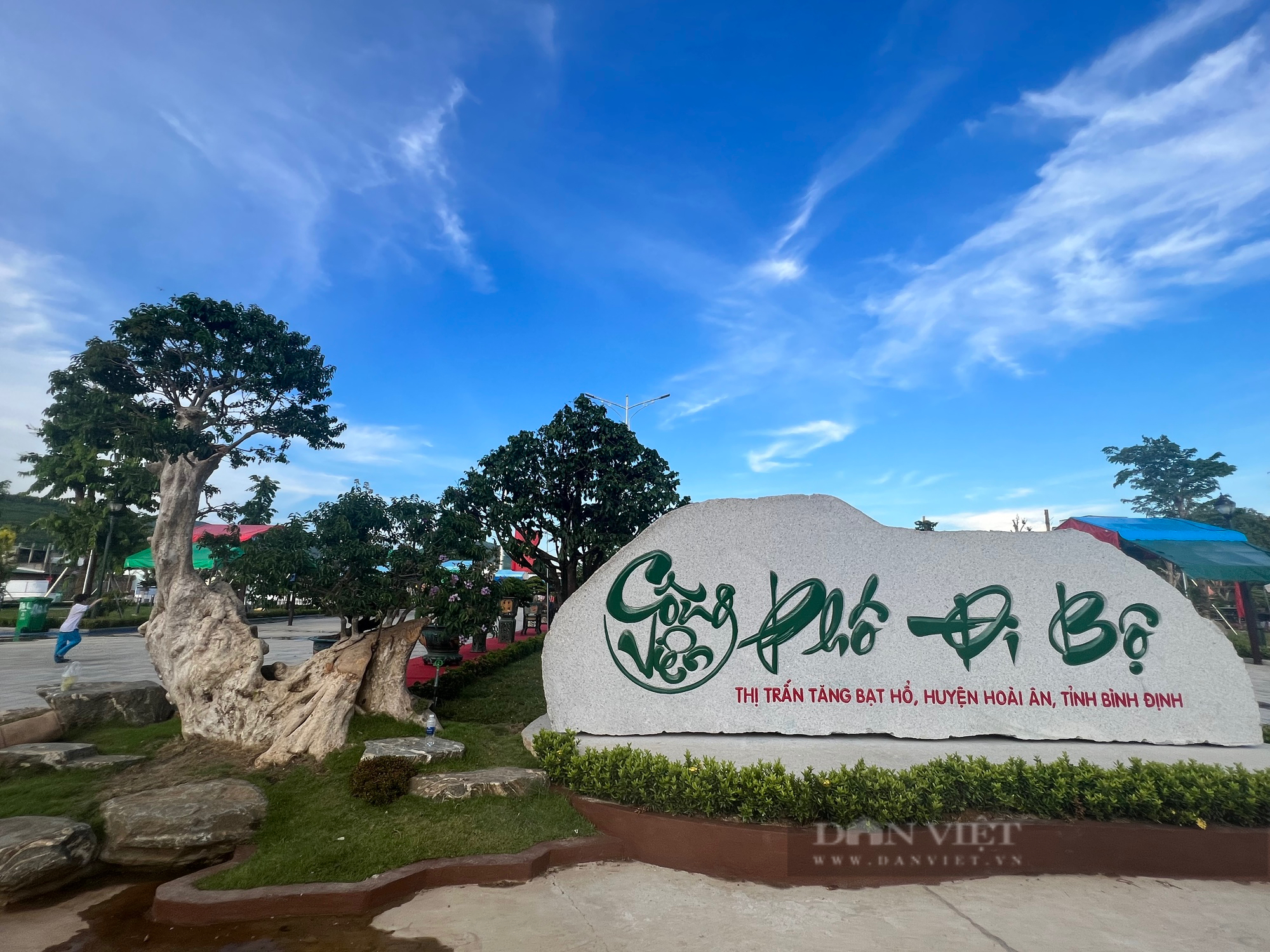 Loạt gốc bonsai Loạt gốc bonsai