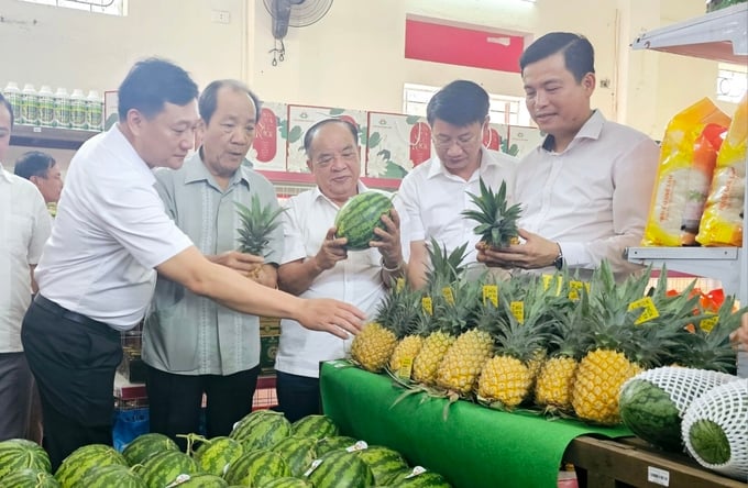 Tập đoàn Quế Lâm đồng hành với Hà Tĩnh phát triển nông nghiệp hữu cơ, nông nghiệp tuần hoàn. Ảnh: Hoàng Anh.