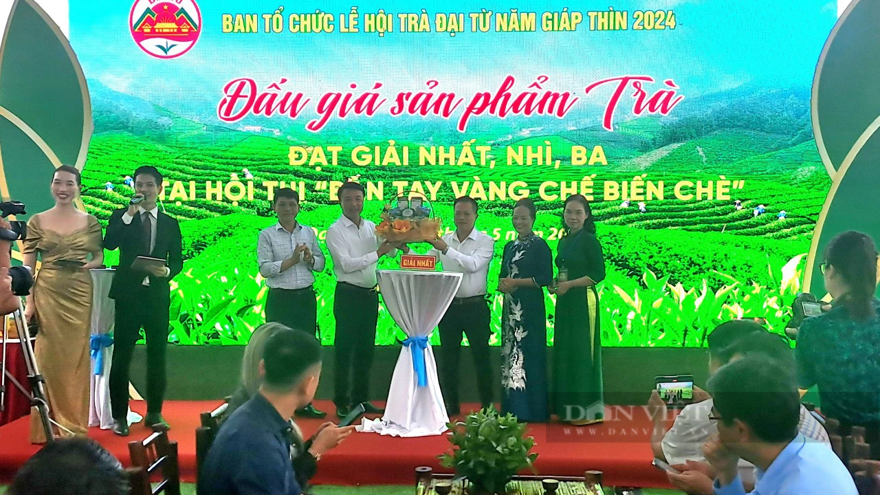 Đấu giá toàn bộ sản phẩm trà trong hội thi Đấu giá toàn bộ sản phẩm trà trong hội thi