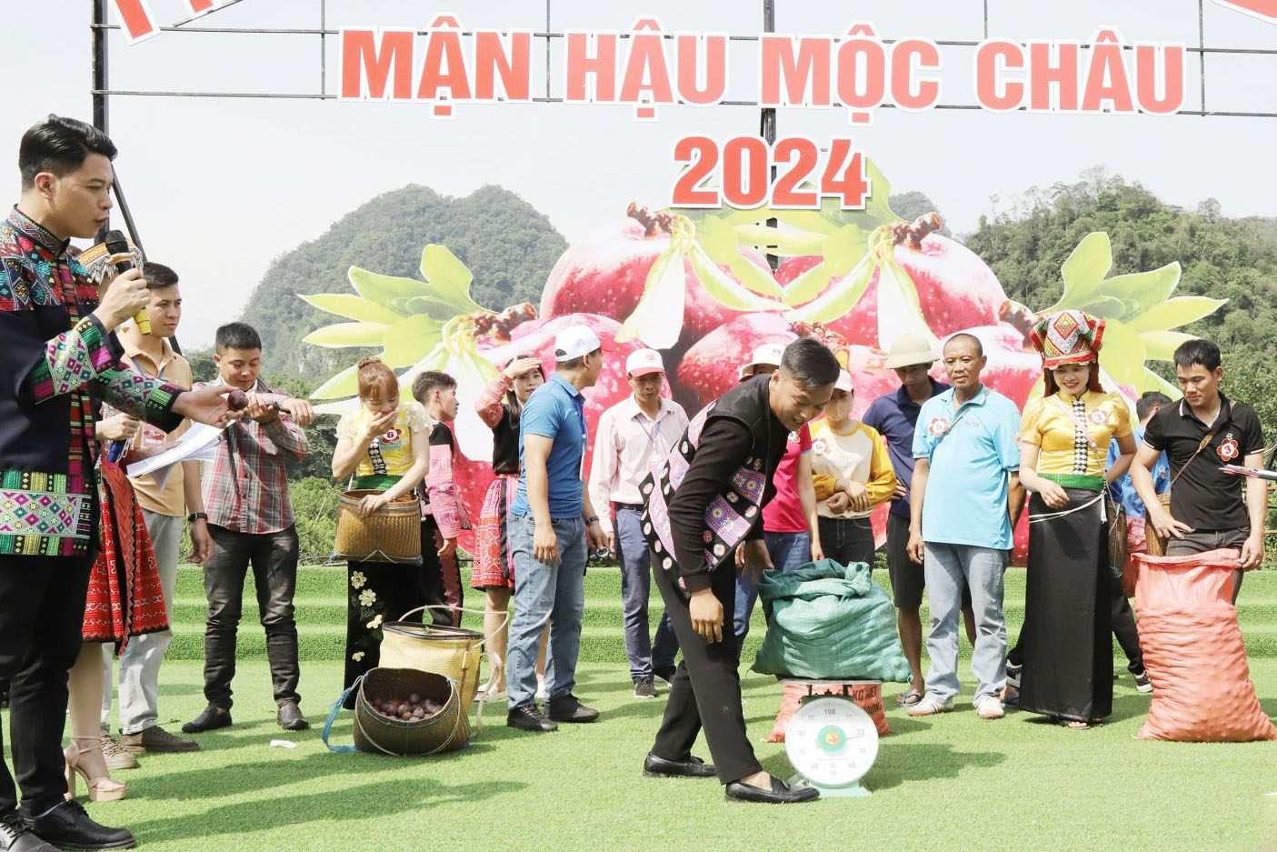 Hấp dẫn ngày hội hái quả mận hậu trên cao nguyên Mộc Châu- Ảnh 10. Hấp dẫn ngày hội hái quả mận hậu trên cao nguyên Mộc Châu- Ảnh 10.