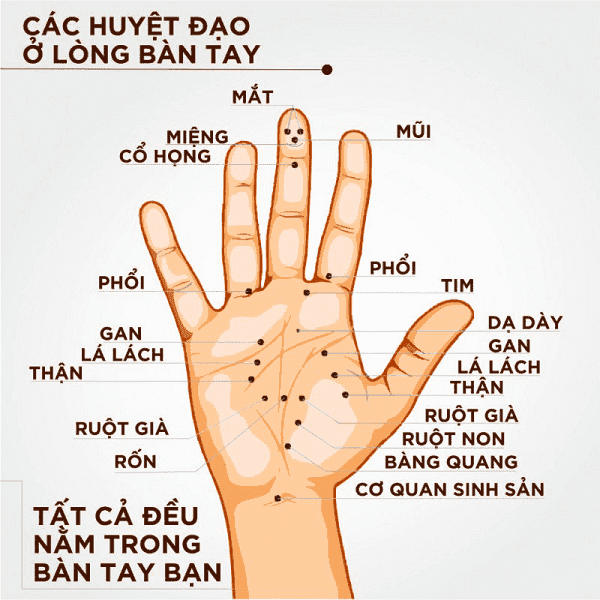 Bấm huyệt có tác dụng gì?- Ảnh 3. Hướng dẫn cách massage bấm huyệt bàn tay chữa bách bệnh