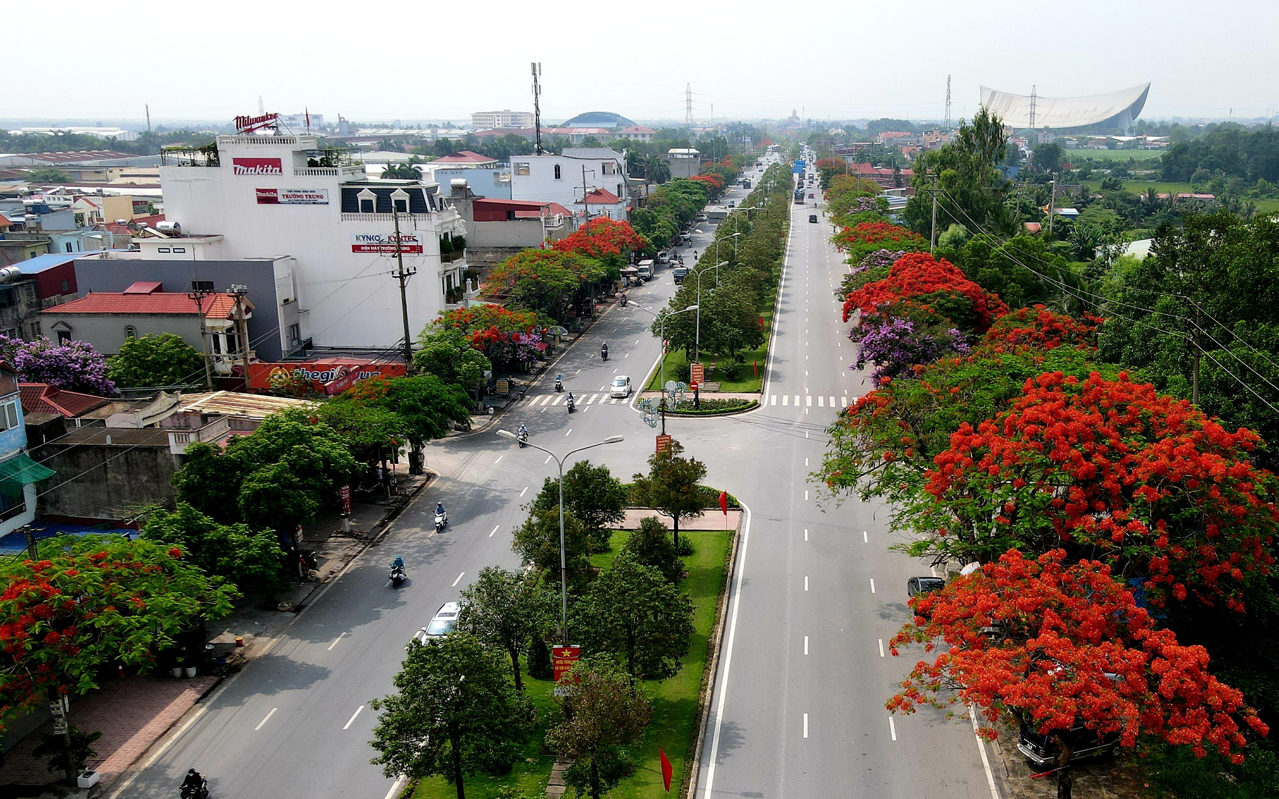 Hải Phòng rực cháy sắc đỏ hoa phượng, tím biếc hoa bằng lăng- Ảnh 6. Đường Phạm Văn Đồng dài gần 15km điểm đầu từ Cầu Rào 1 tới Khu du lịch Đồ Sơn được mệnh danh là con đường hoa phượng đẹp nhất đất Cảng bắt đầu nhuộm đỏ